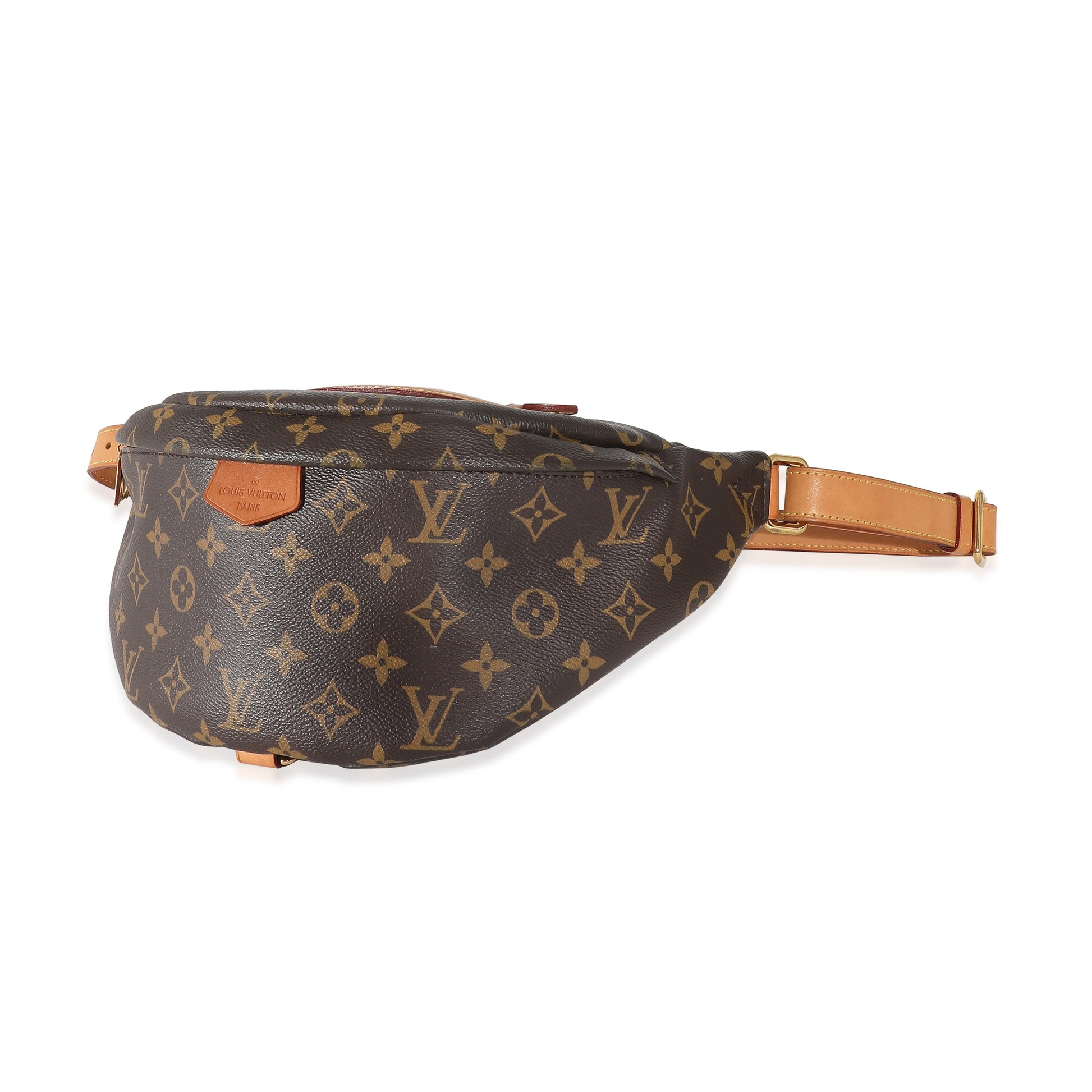 Louis Vuitton Bumbag Monogram Canvas Handbag 4
