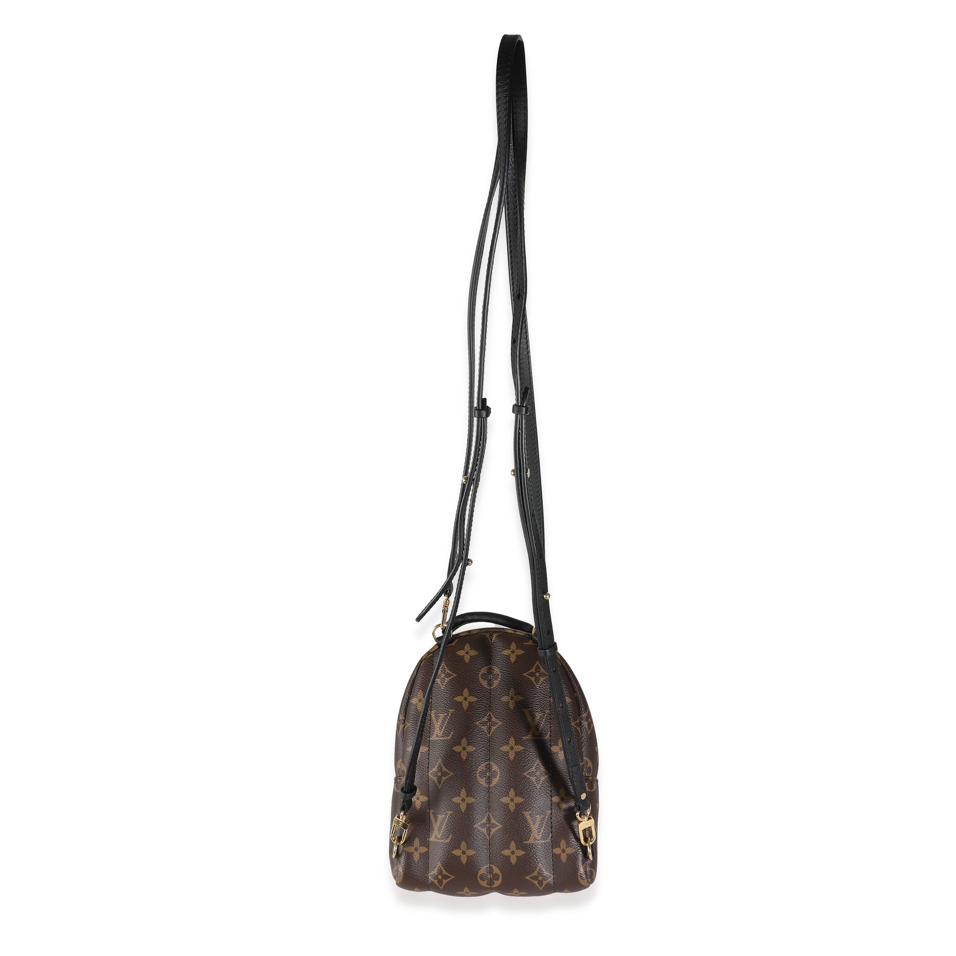 Louis Vuitton Palm Springs Monogram Canvas Mini Jewelry