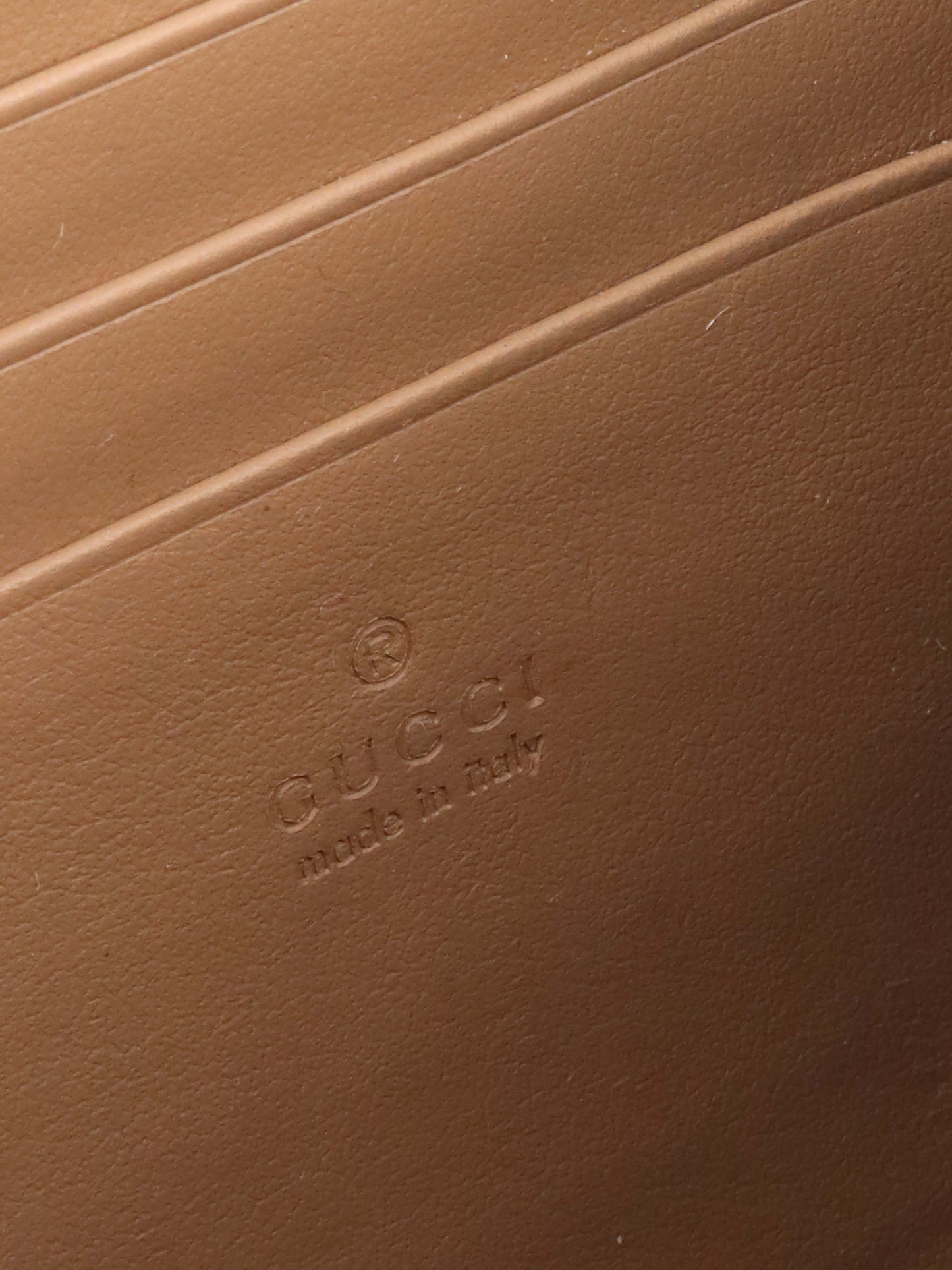 Gucci Dionysus Wallet on Chain.