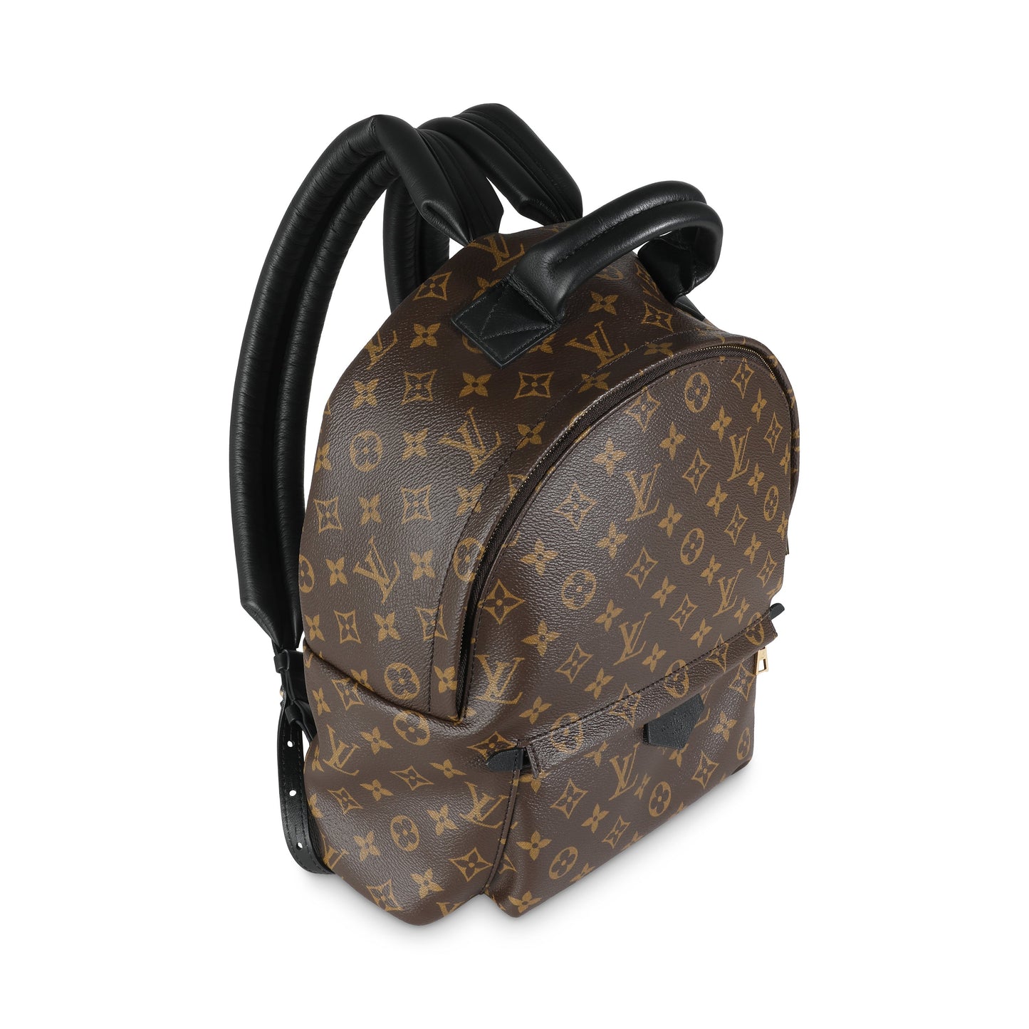 Louis Vuitton Palm Springs MM Monogram Canvas Jewelry