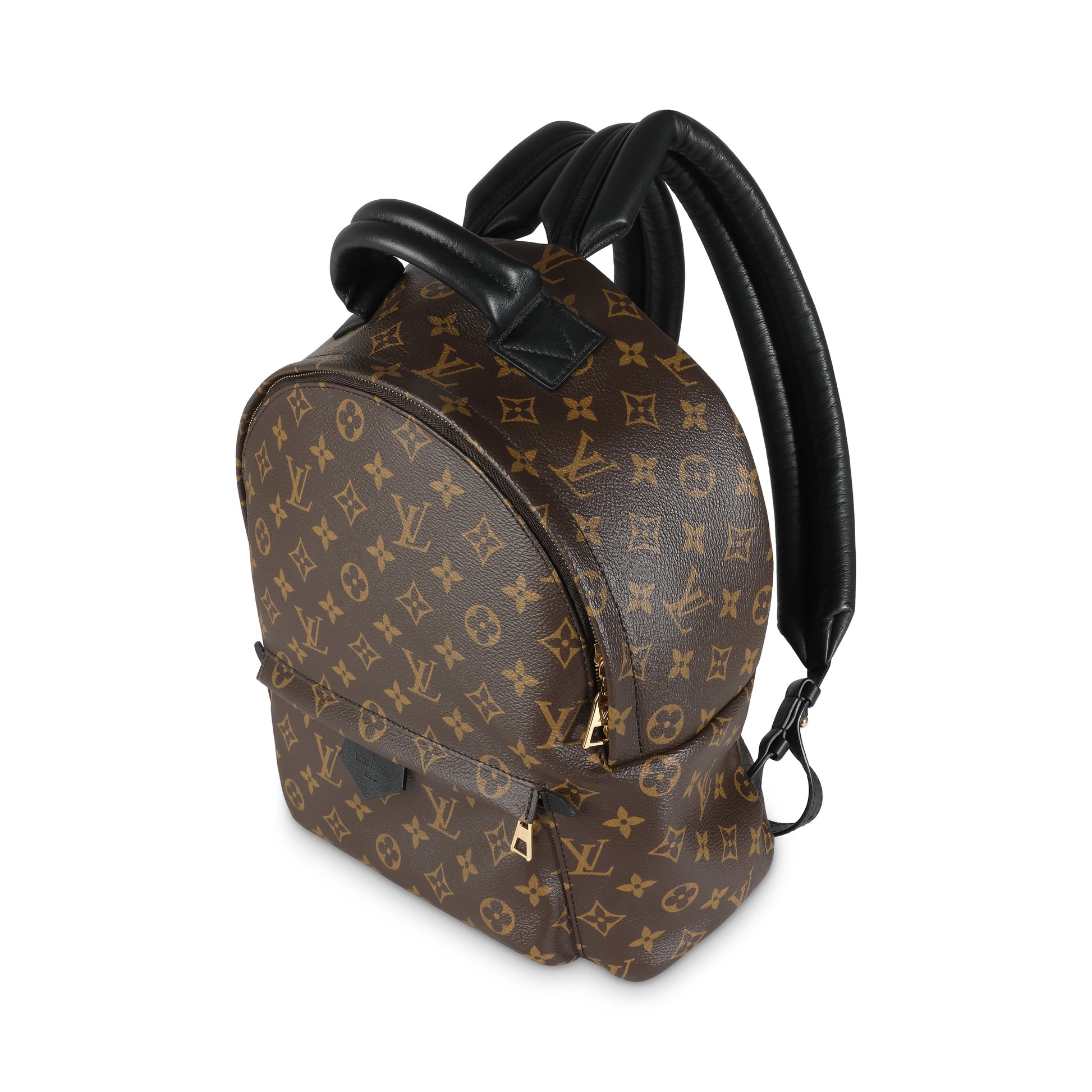 Louis Vuitton Palm Springs MM Monogram Canvas Jewelry