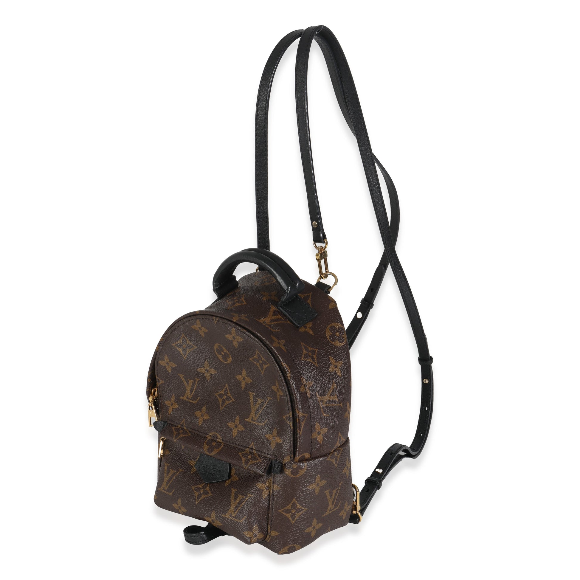 Louis Vuitton Palm Springs Monogram Canvas Mini Jewelry Palm Springs