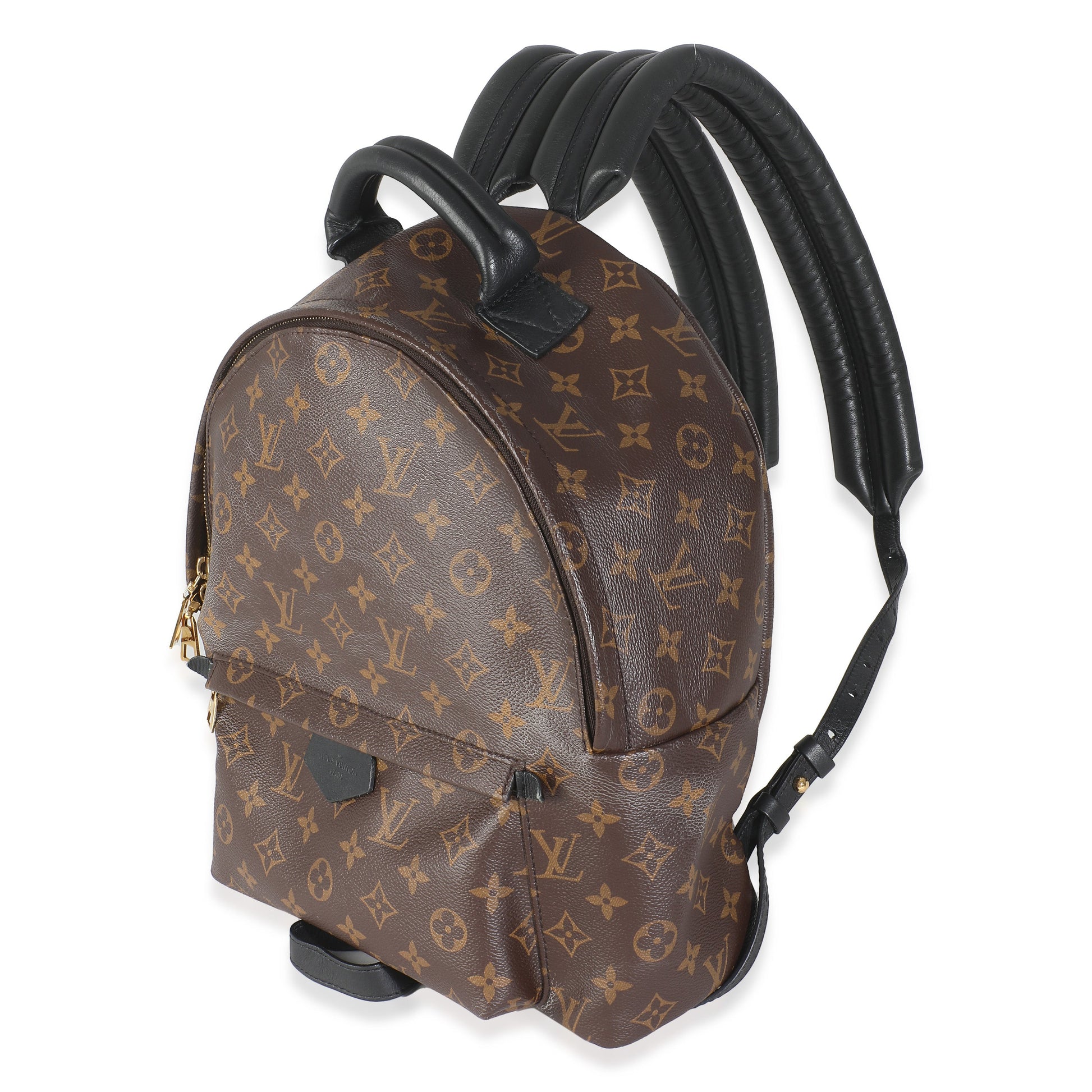Louis Vuitton Palm Springs MM Monogram Canvas Jewelry Springs Mm