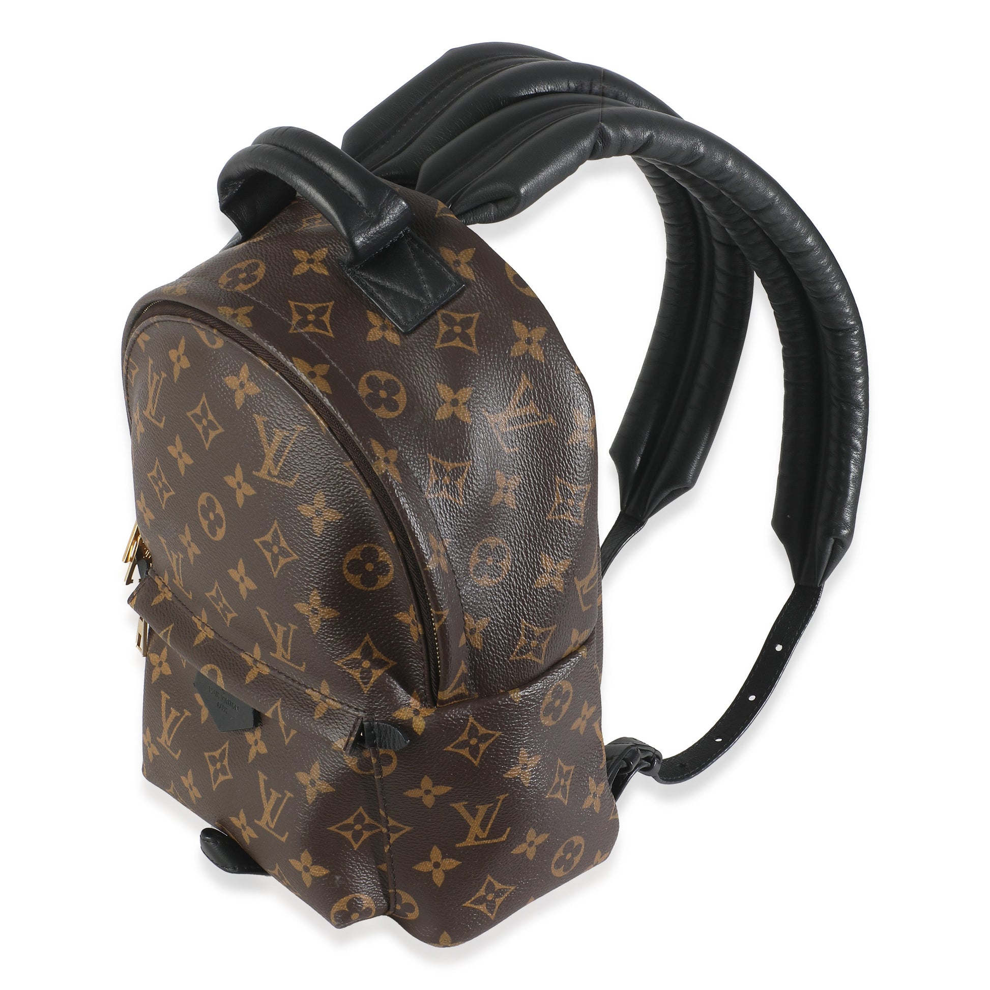 Louis Vuitton Palm Springs PM Monogram Canvas Jewelry Springs Pm