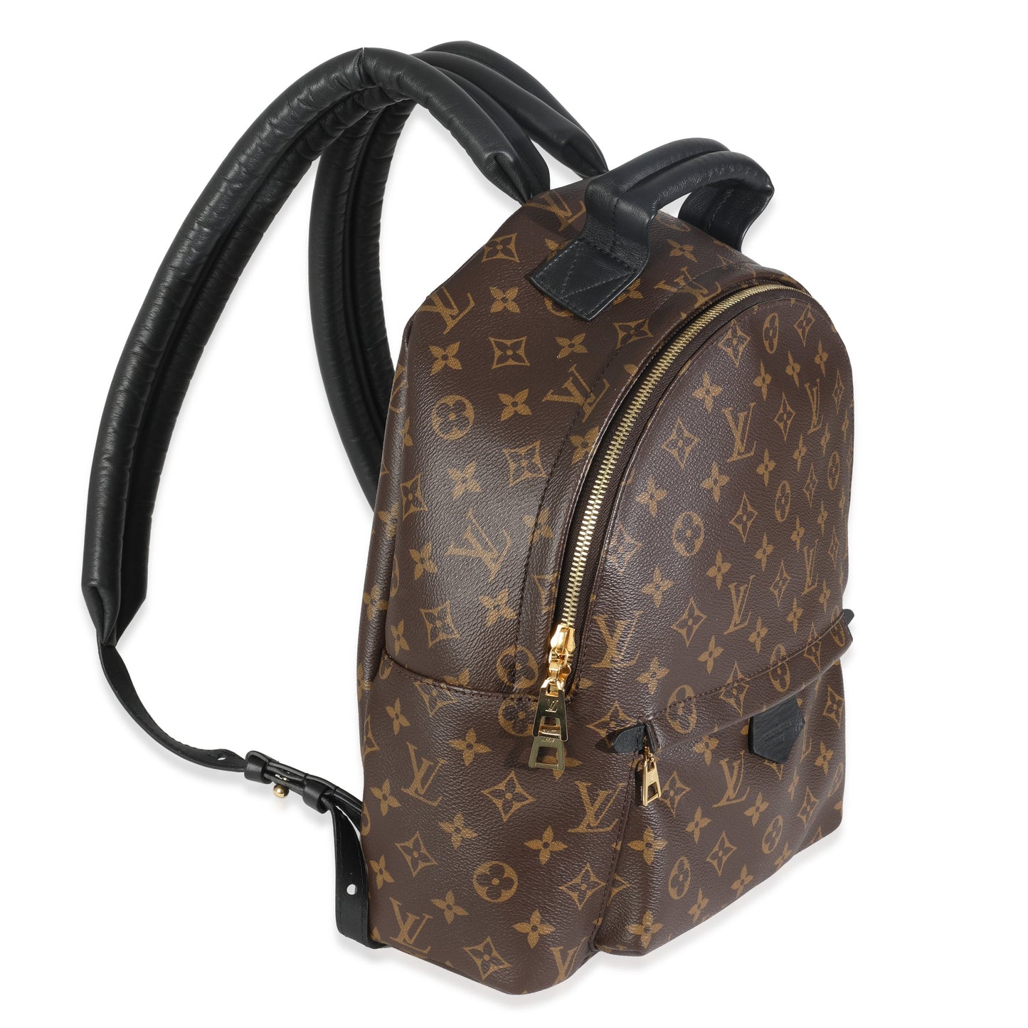 Louis Vuitton Palm Springs MM Monogram Canvas Jewelry 3