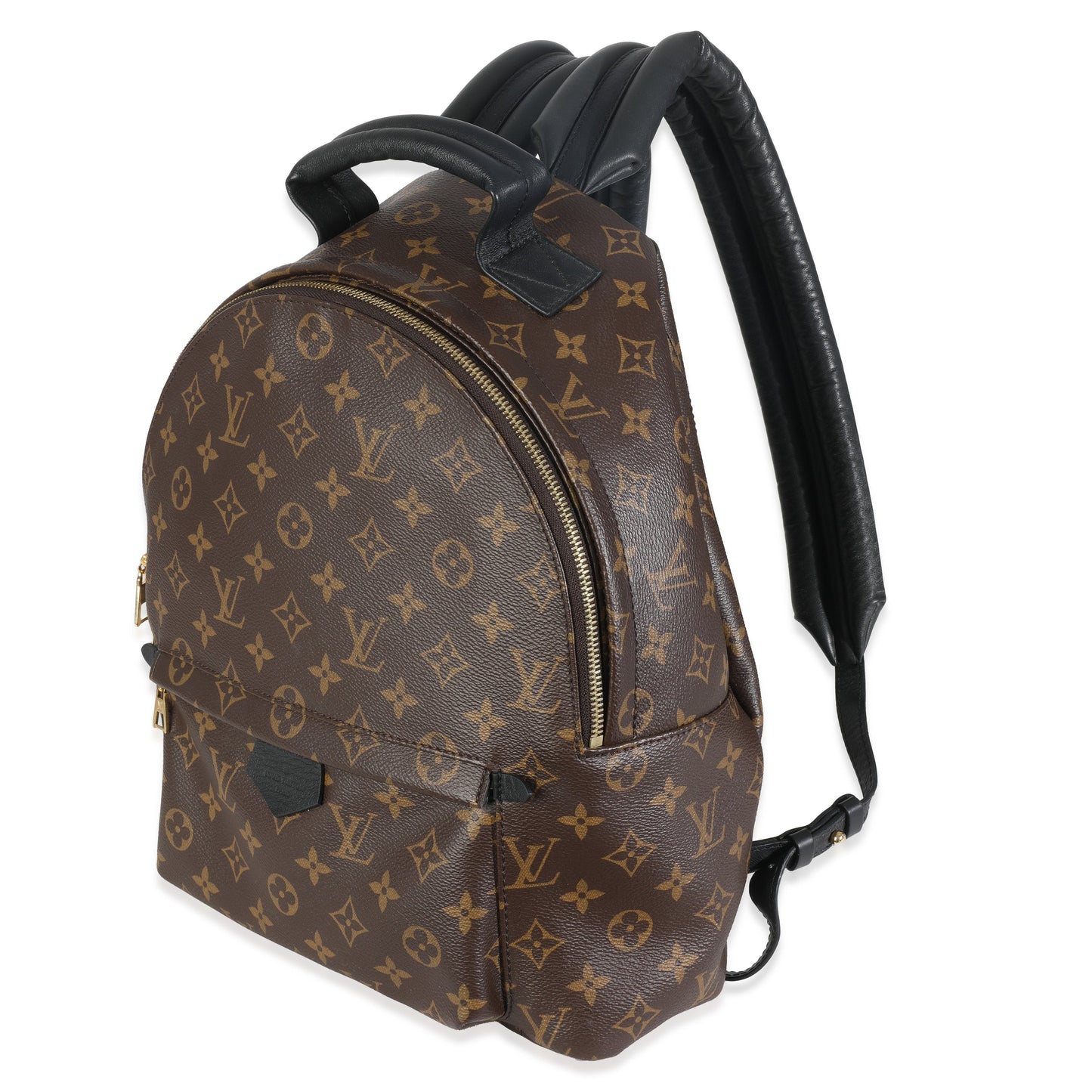 Louis Vuitton Palm Springs MM Monogram Canvas Jewelry 3