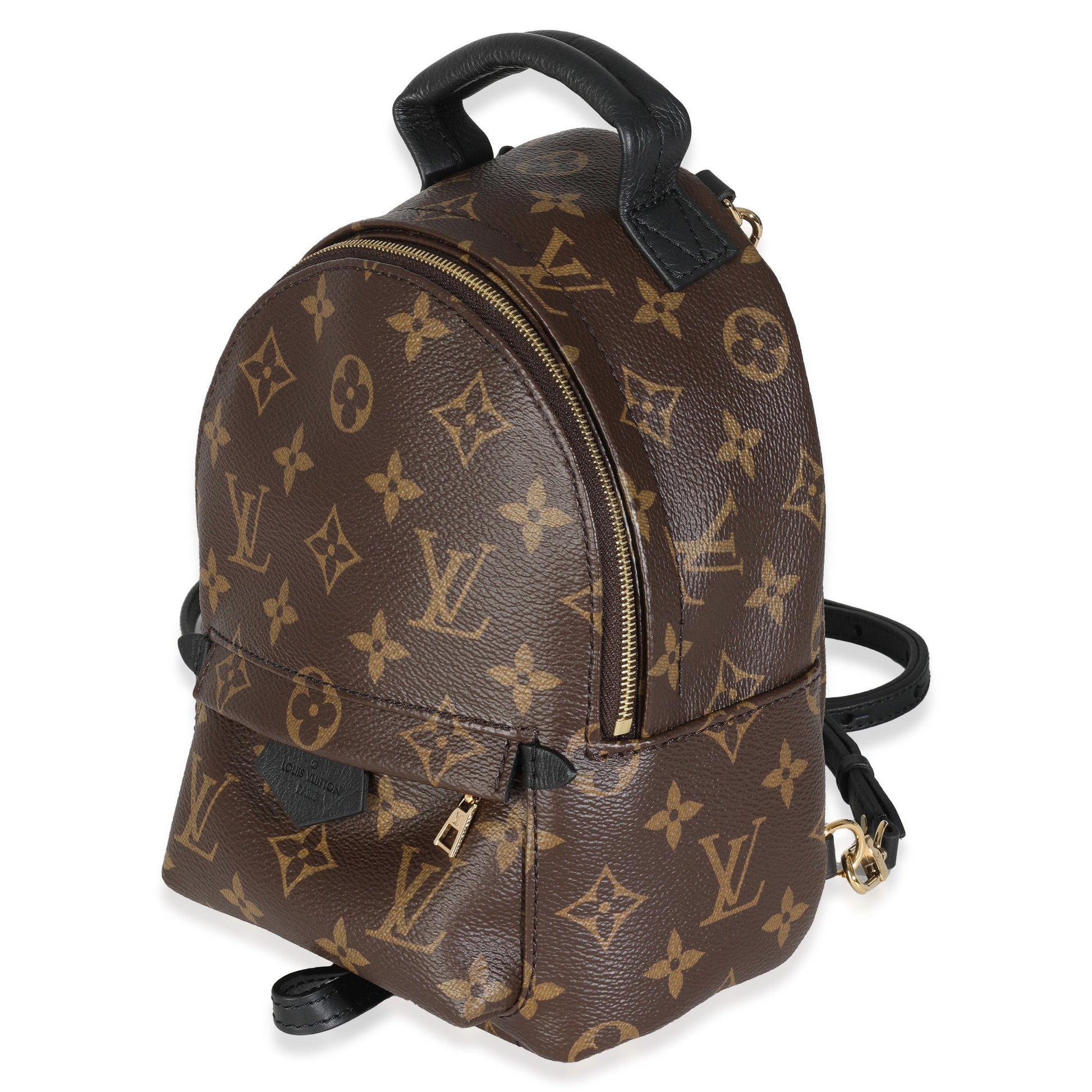 Louis Vuitton Palm Springs Monogram Canvas Mini Jewelry 3