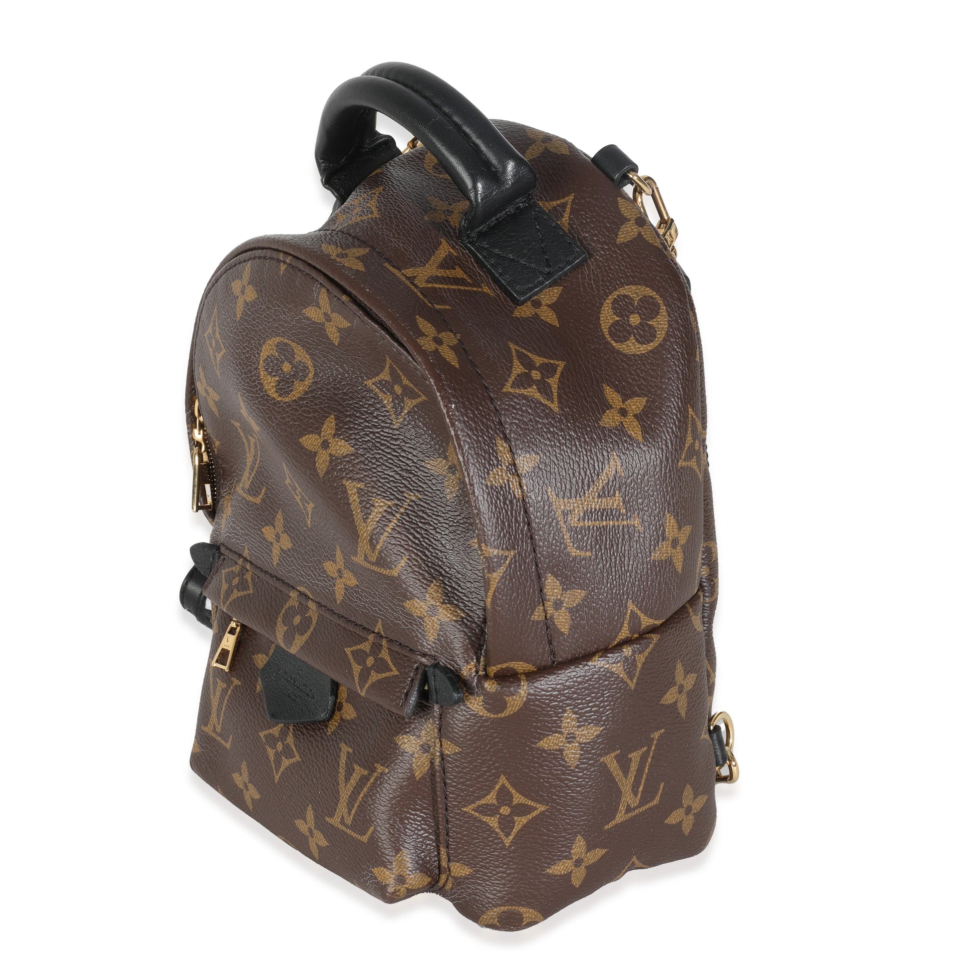 Louis Vuitton Palm Springs Monogram Canvas Mini Jewelry 4