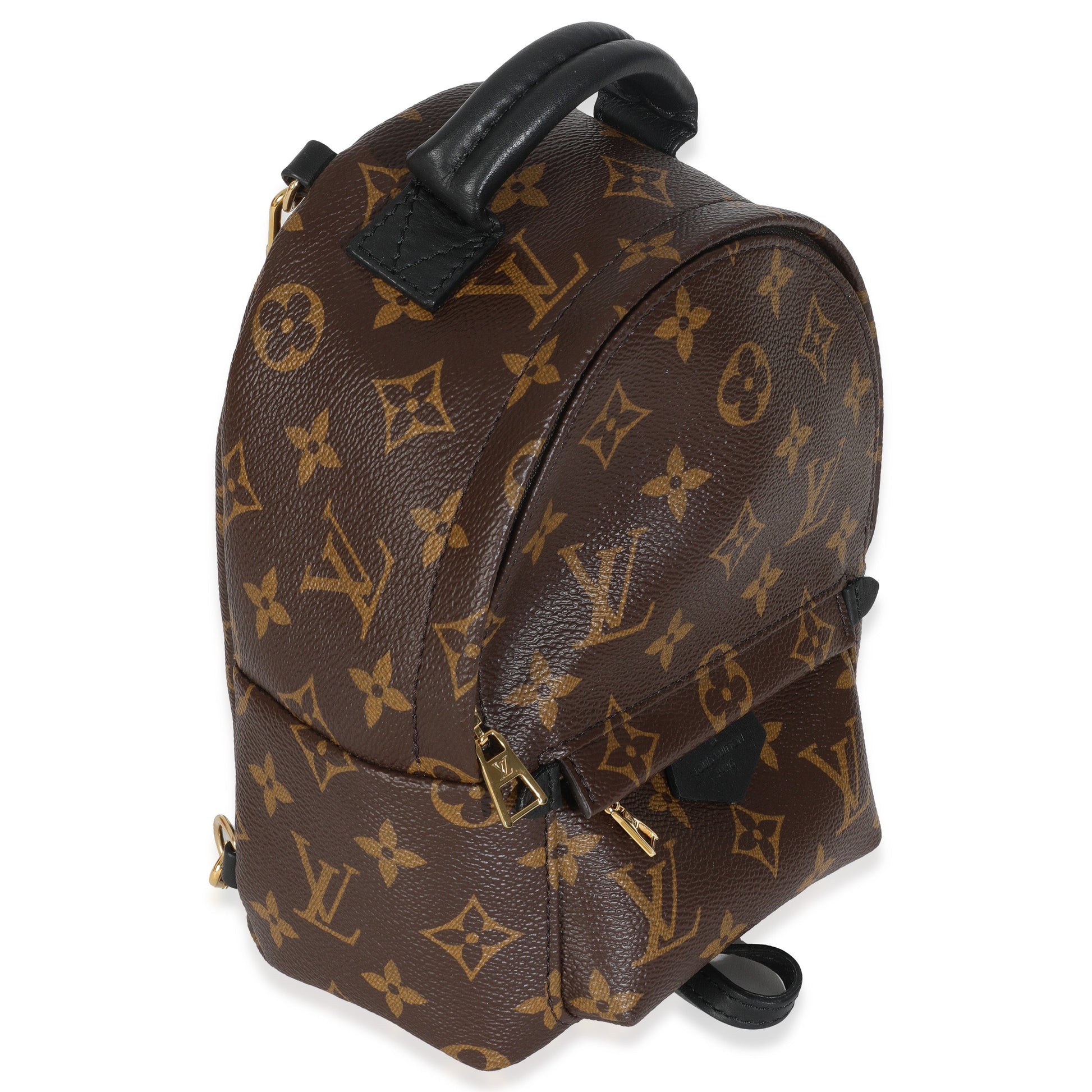 Louis Vuitton Palm Springs Backpack Monogram Canvas Mini Jewelry