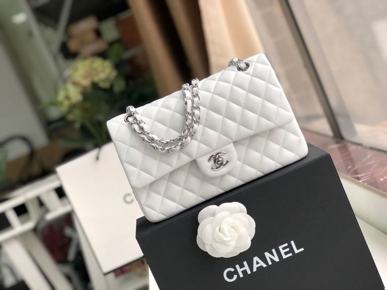 CHL Classic 9.9in 25.5cm A01112 White Handbag
