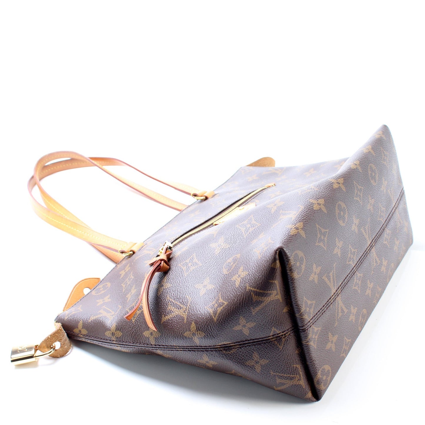 Louis Vuitton Iena PM Monogram Handbag