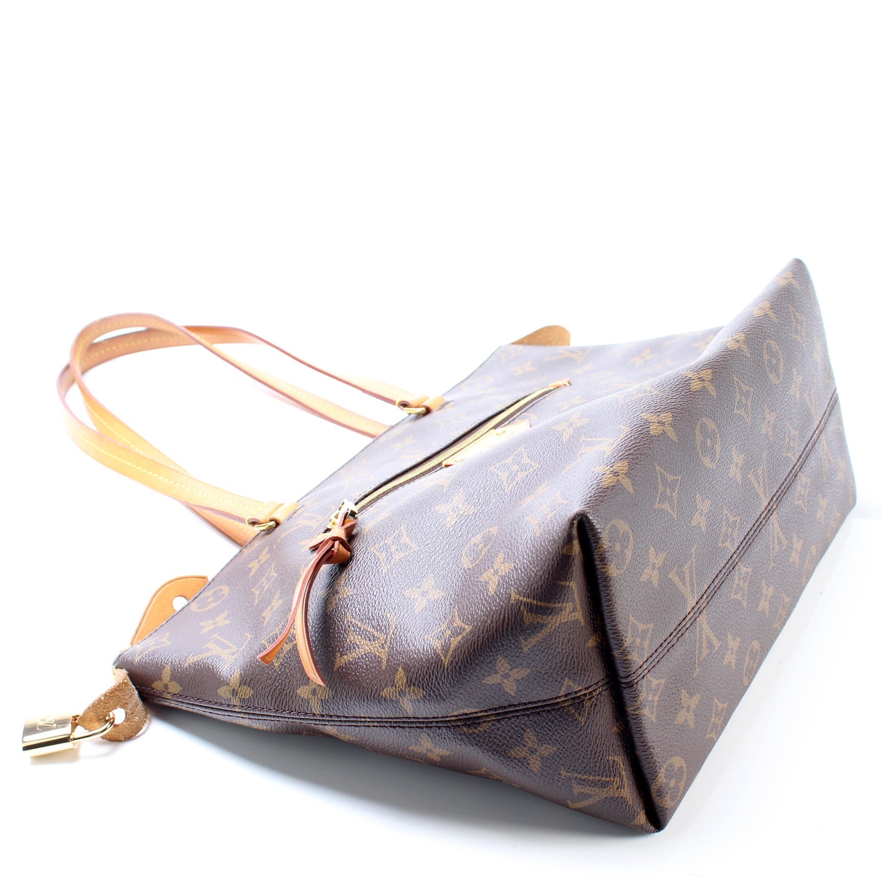 Louis Vuitton Iena PM Monogram Handbag