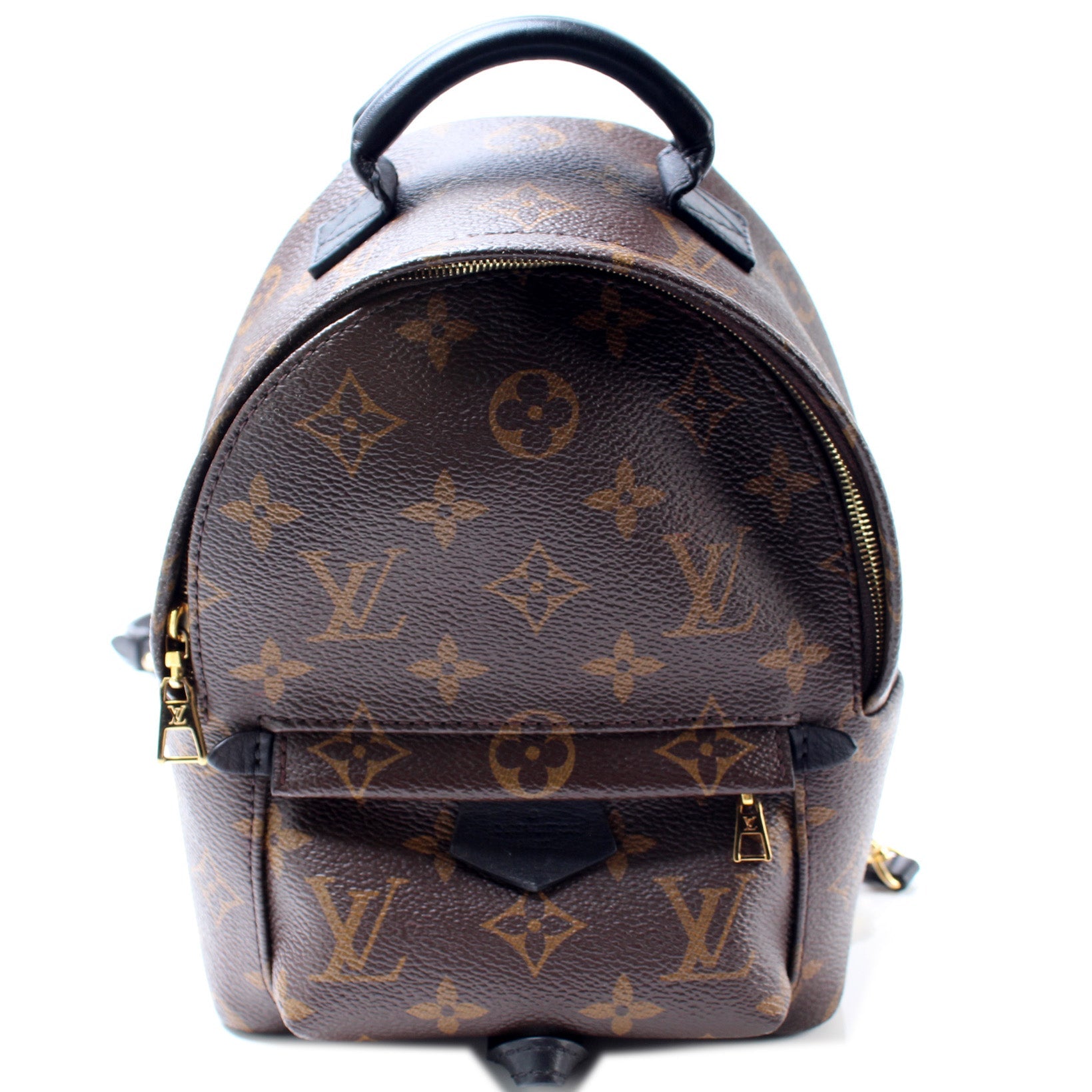 Louis Vuitton Palm Springs Backpack Monogram Jewelry