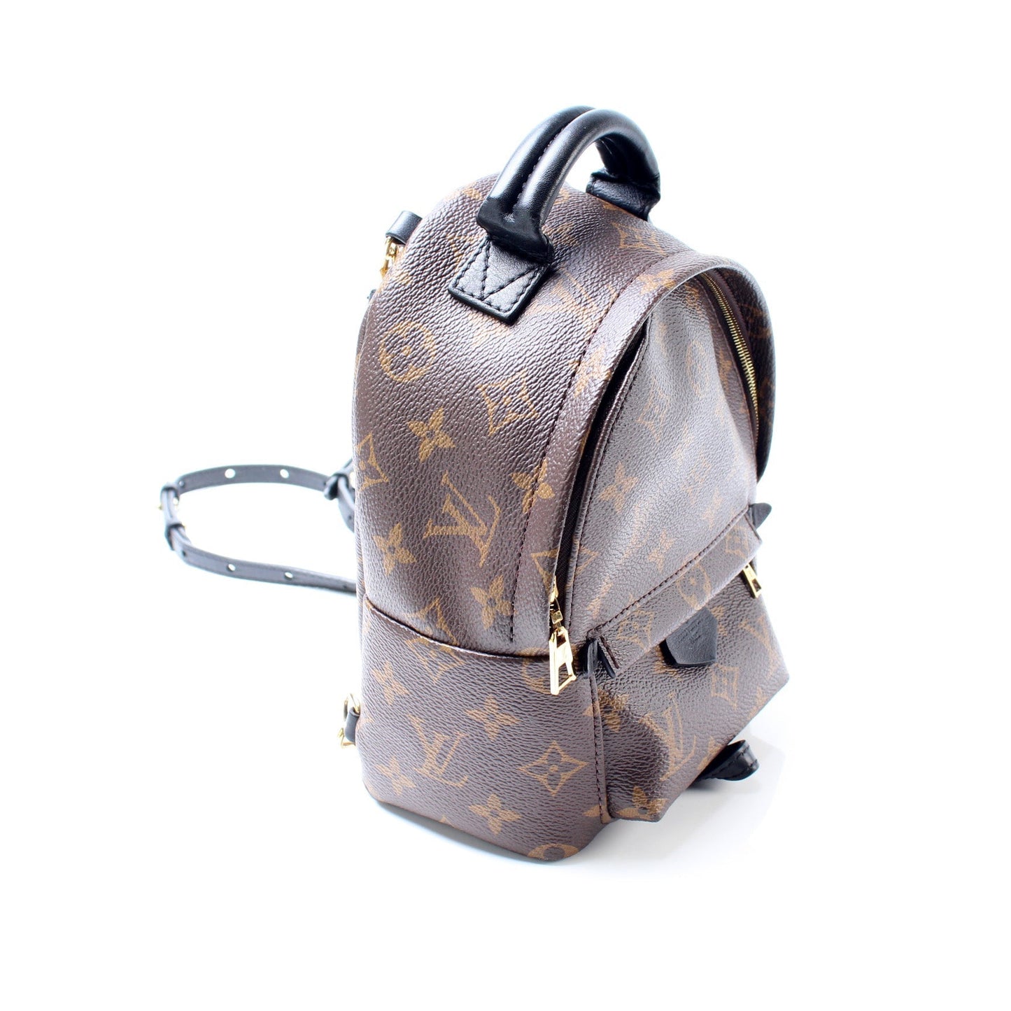 Louis Vuitton Palm Springs Backpack Monogram Jewelry