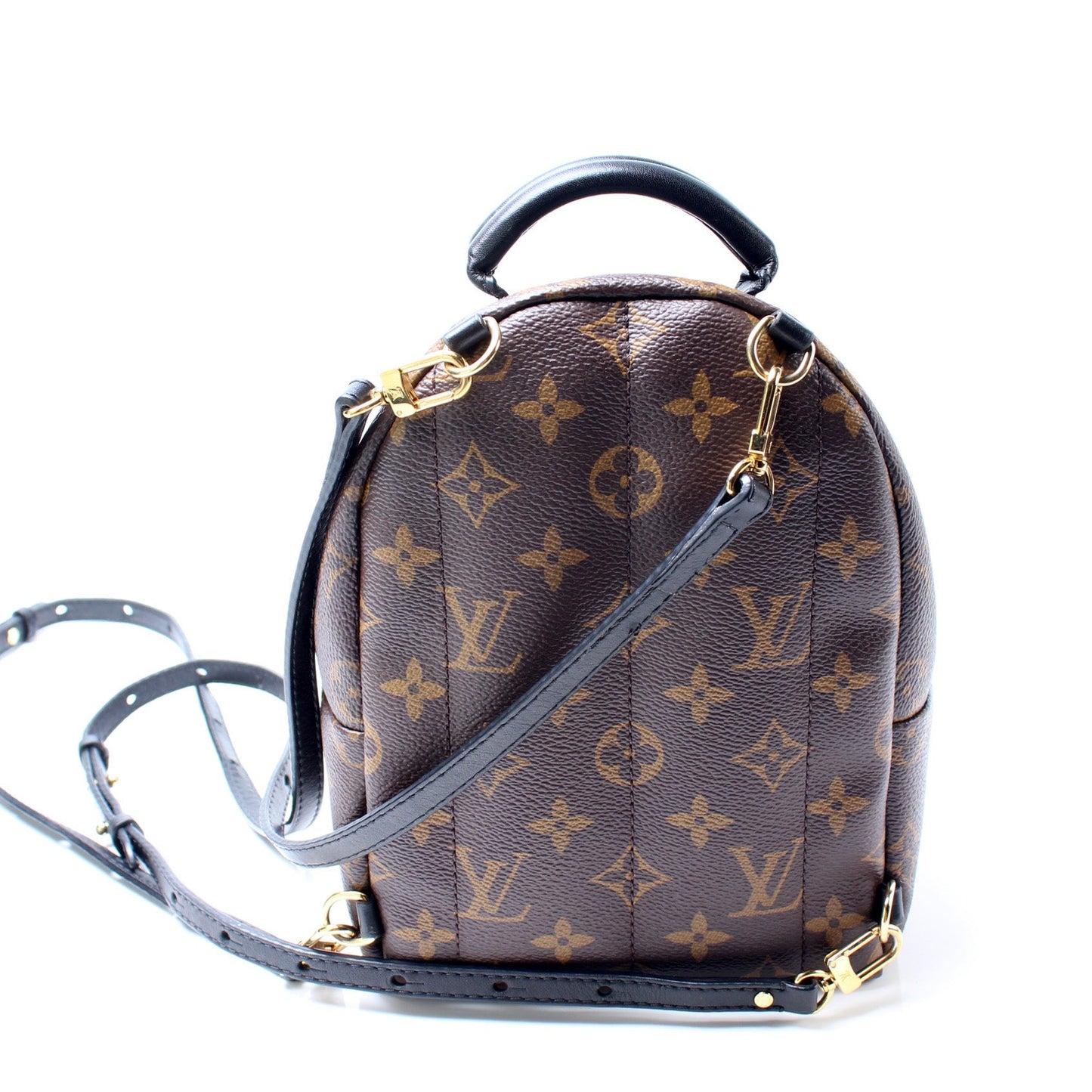 Louis Vuitton Palm Springs Backpack Monogram Jewelry