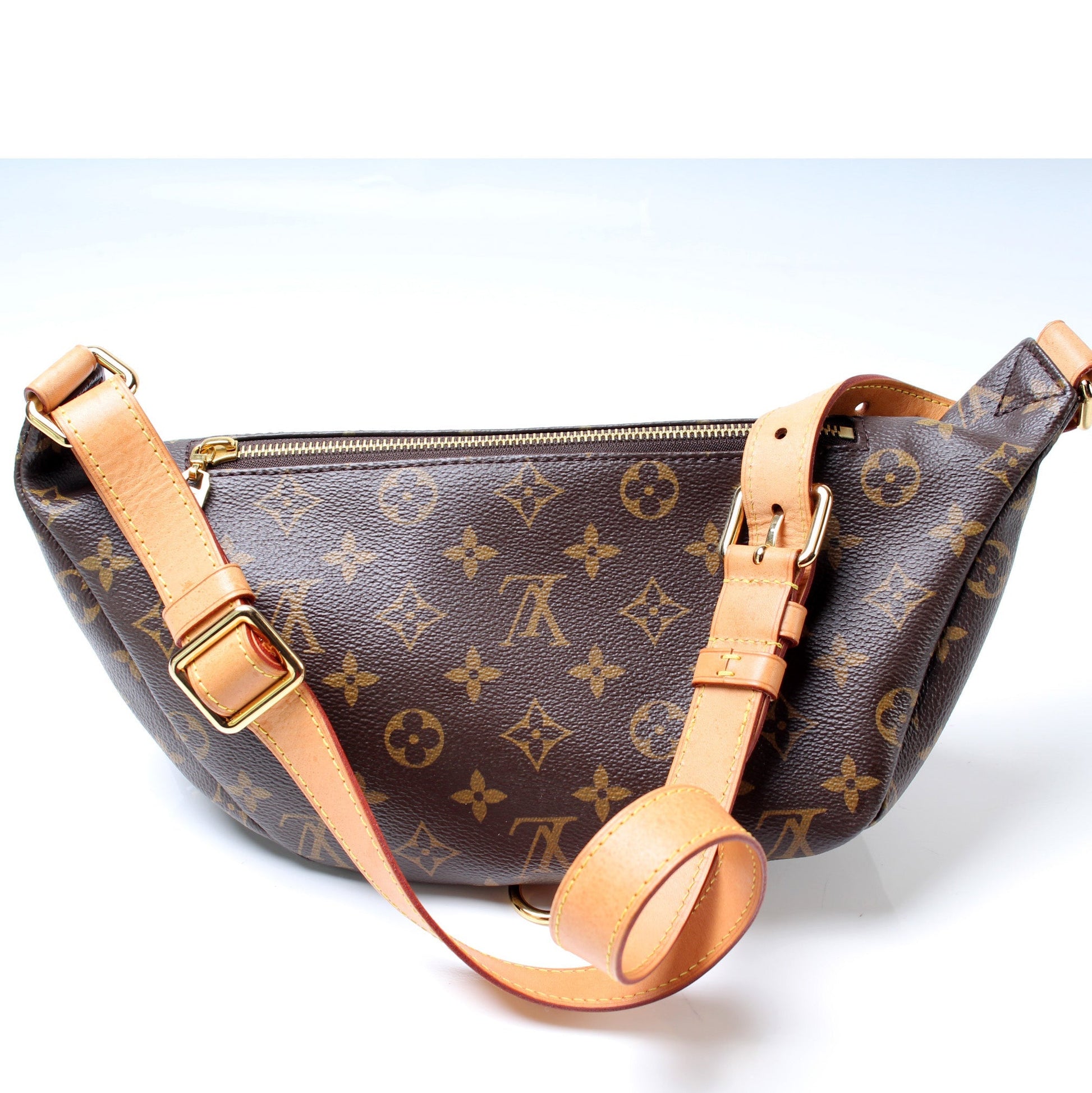 Louis Vuitton Bumbag Monogram Handbag Monogram 1
