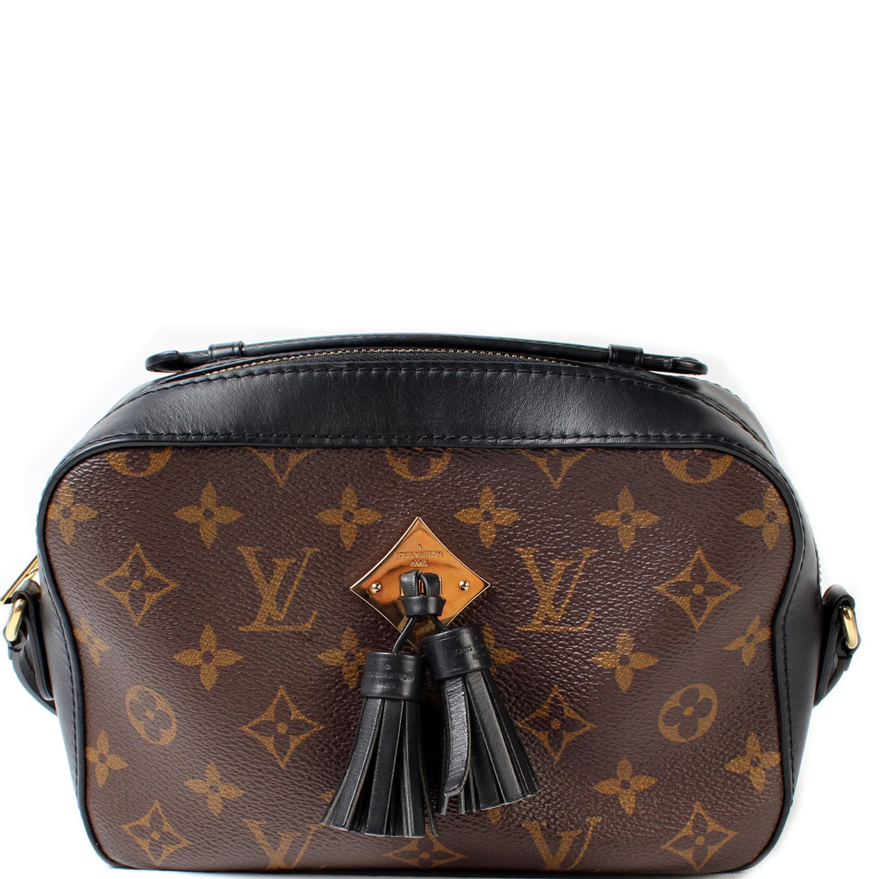 Louis Vuitton Saintogne Monogram Handbag Monogram 1