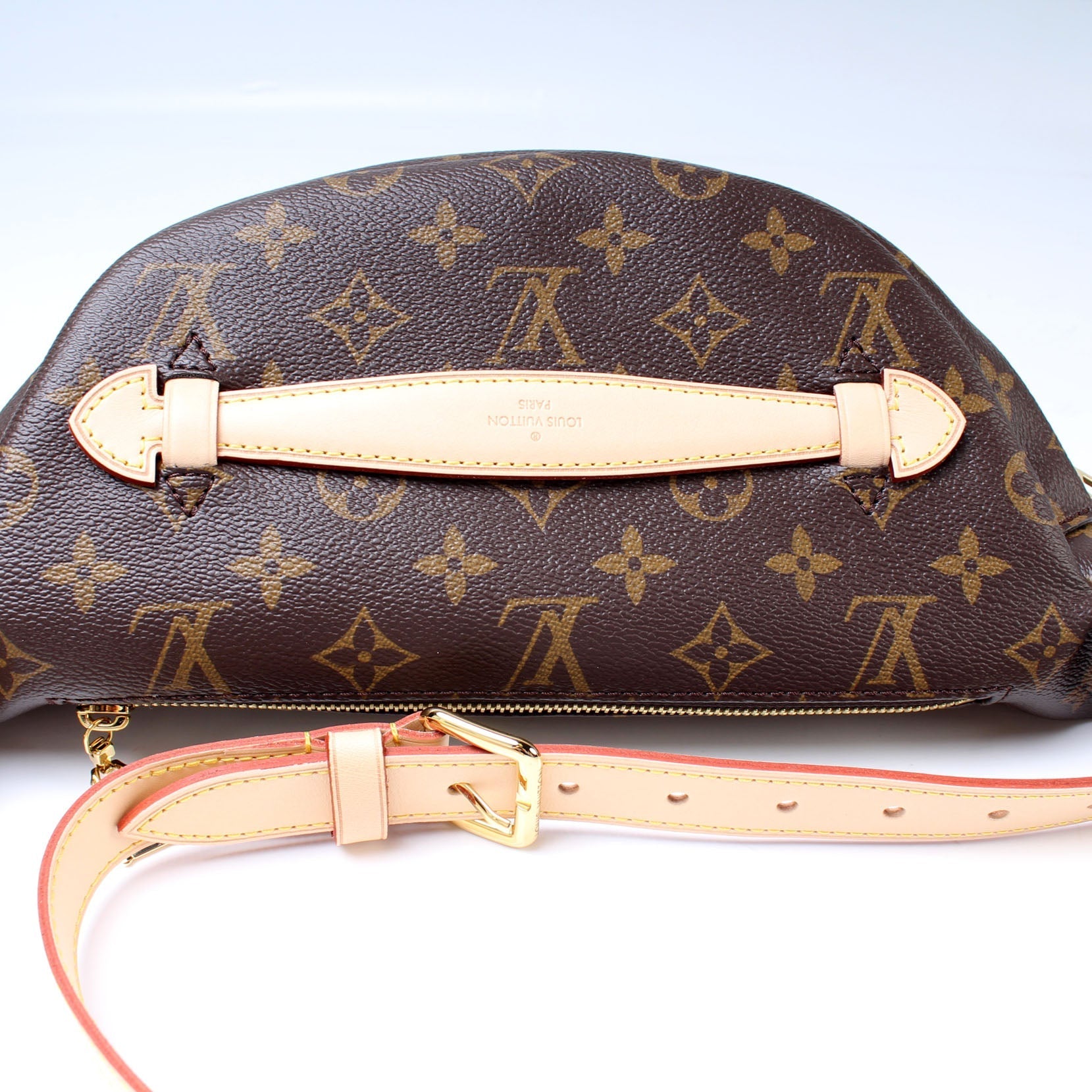 Louis Vuitton Bumbag Monogram Handbag Monogram 0F3F41Ce