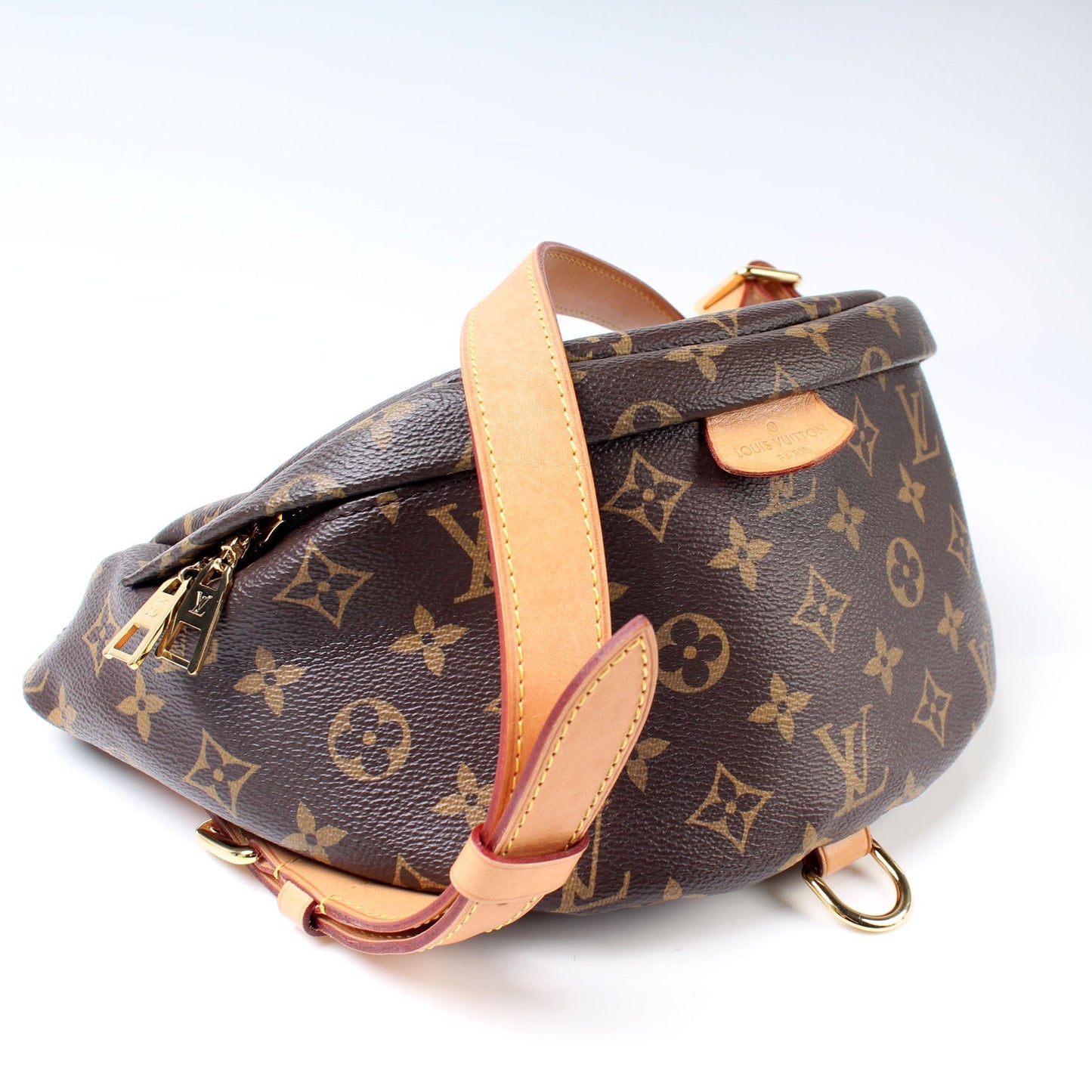Louis Vuitton Bumbag Monogram Handbag Monogram 6