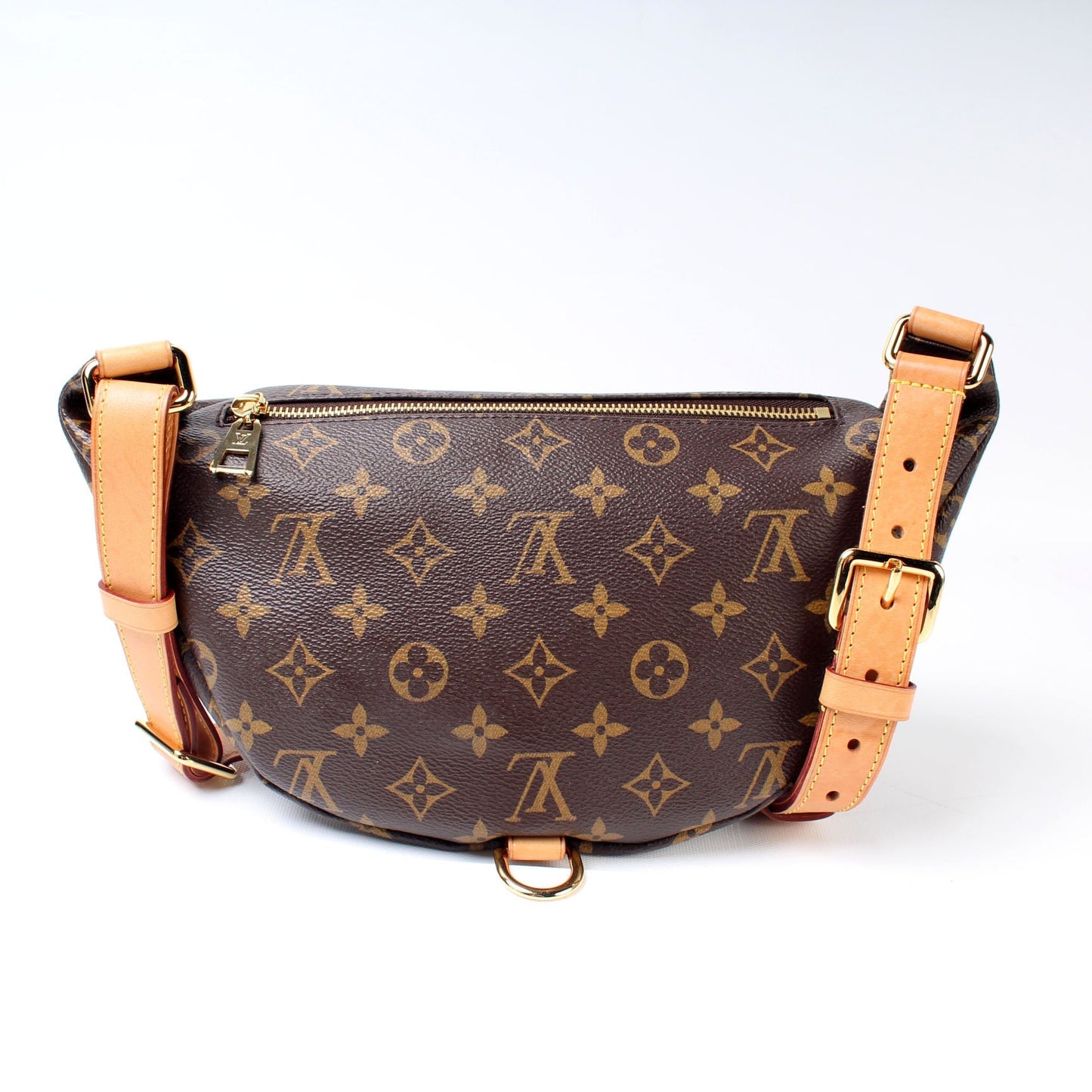 Louis Vuitton Bumbag Monogram Handbag Monogram 6