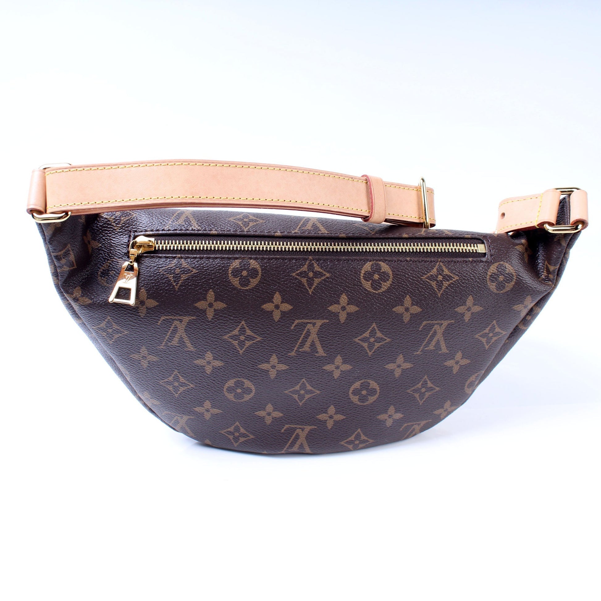 Louis Vuitton Bumbag Monogram Handbag Monogram 9
