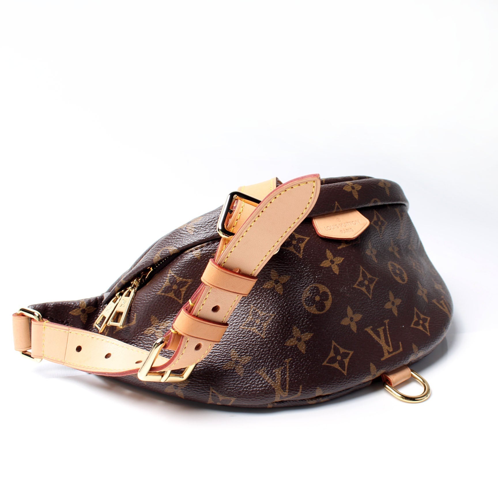Louis Vuitton Bumbag Monogram Handbag Monogram 10