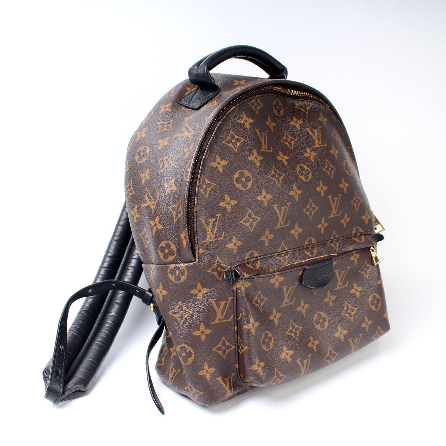 Louis Vuitton Palm Springs Backpack MM Monogram Jewelry