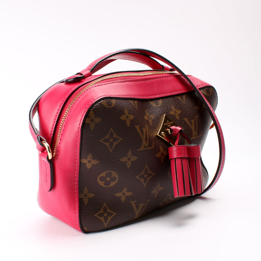 Louis Vuitton Saintogne Monogram Handbag Monogram 8