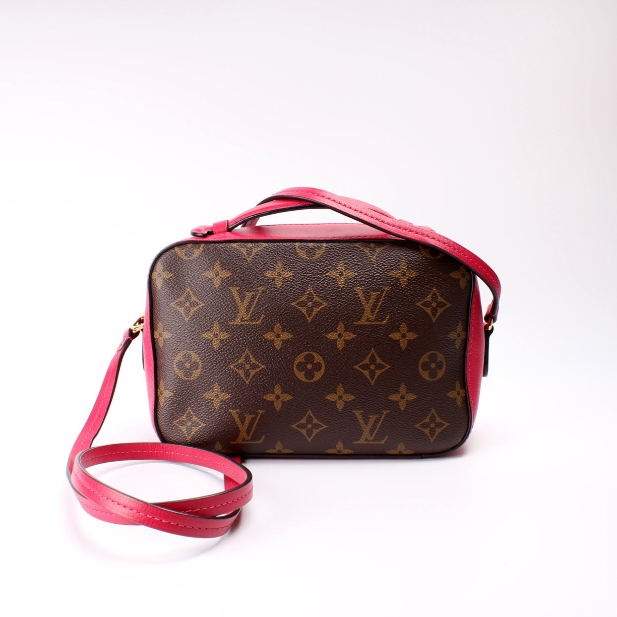 Louis Vuitton Saintogne Monogram Handbag Monogram 8