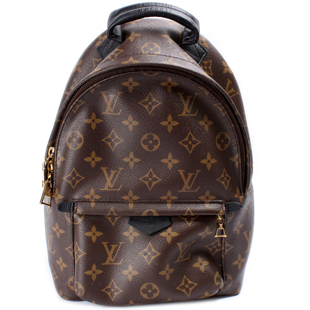 Louis Vuitton Palm Springs Backpack PM Monogram Jewelry