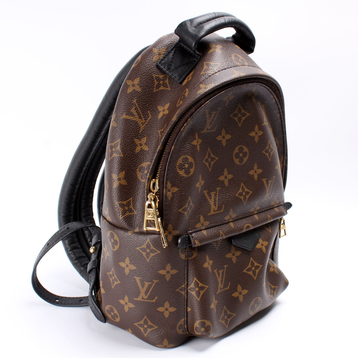 Louis Vuitton Palm Springs Backpack PM Monogram Jewelry