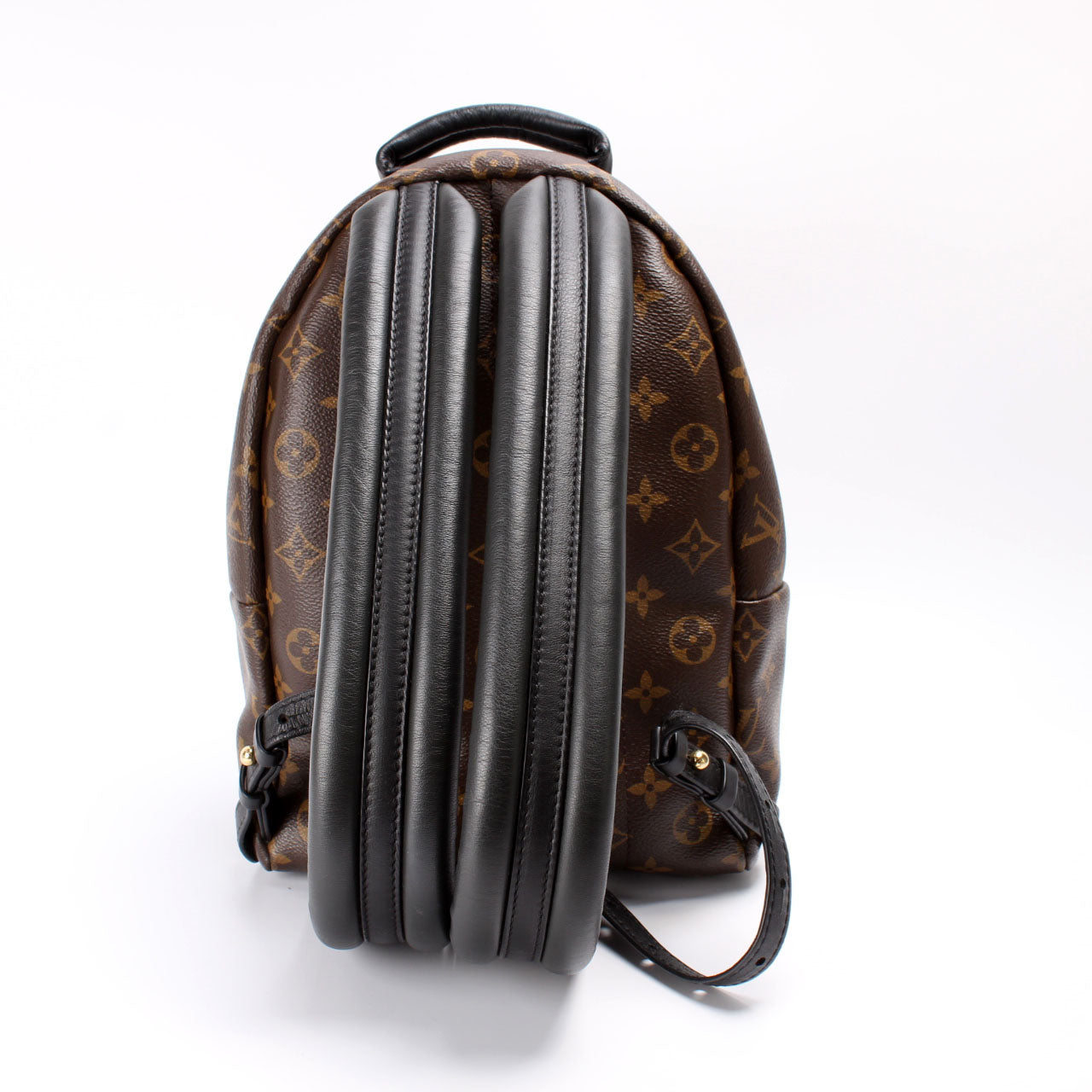 Louis Vuitton Palm Springs Backpack PM Monogram Jewelry