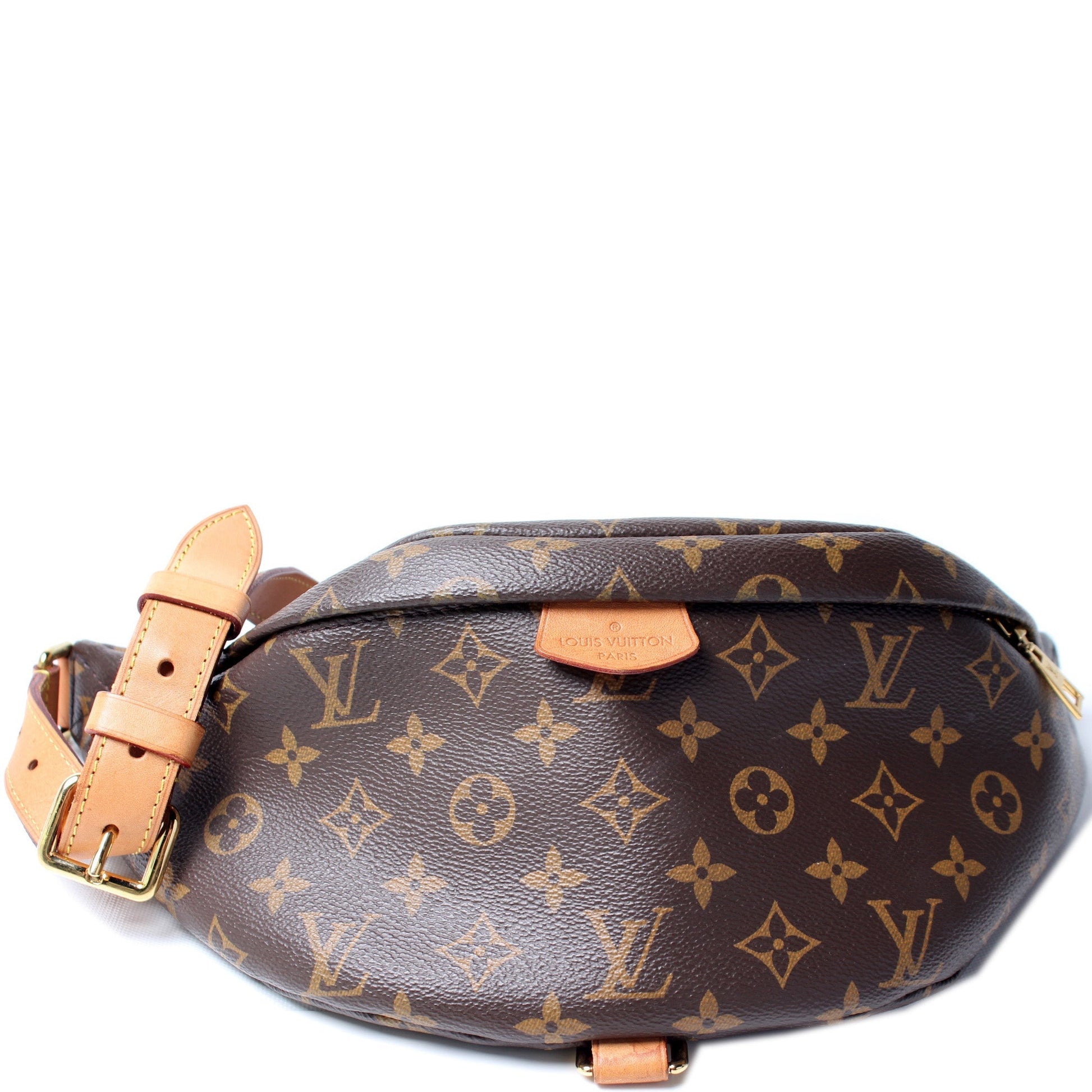 Louis Vuitton Bumbag Monogram Handbag Monogram 12