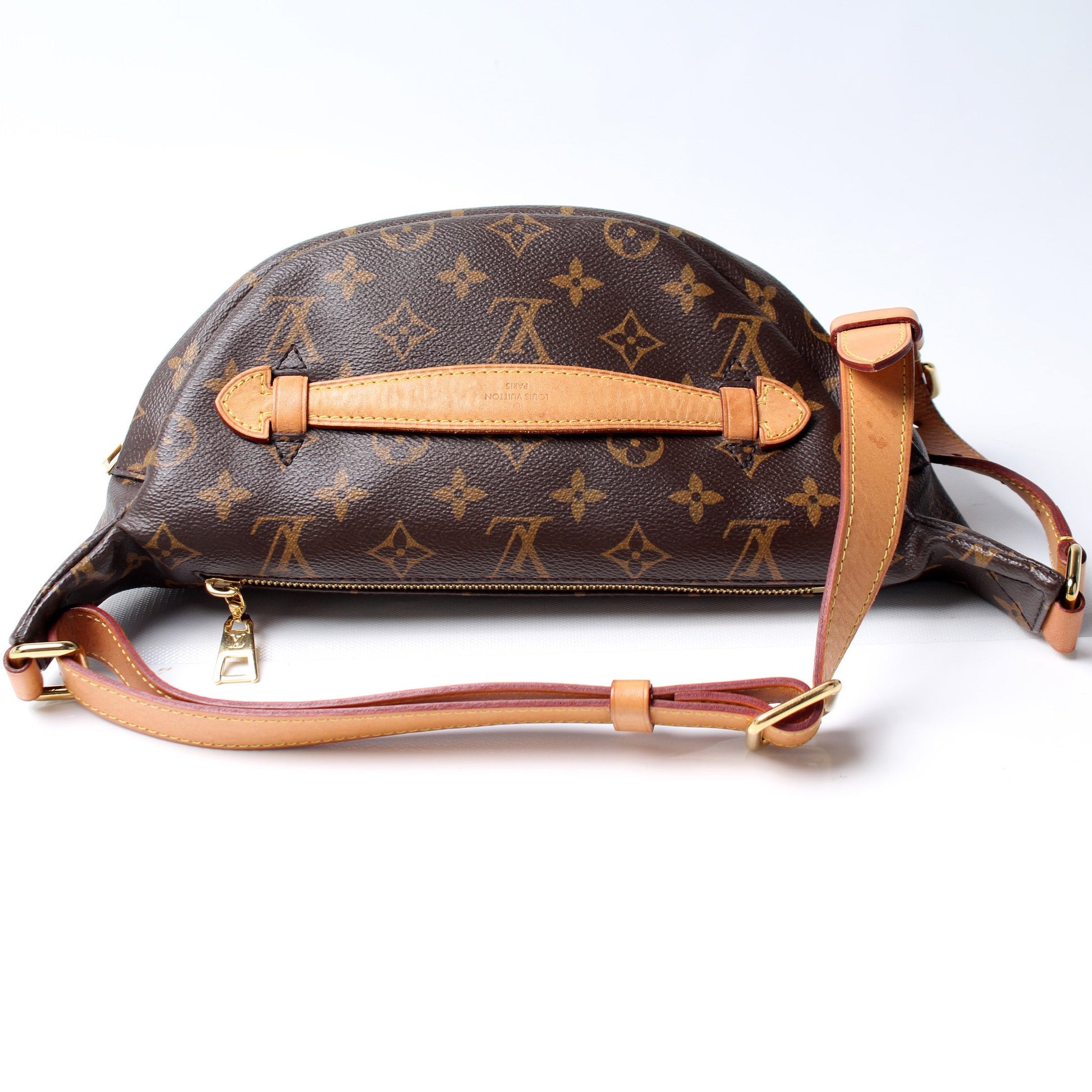 Louis Vuitton Bumbag Monogram Handbag Monogram 12