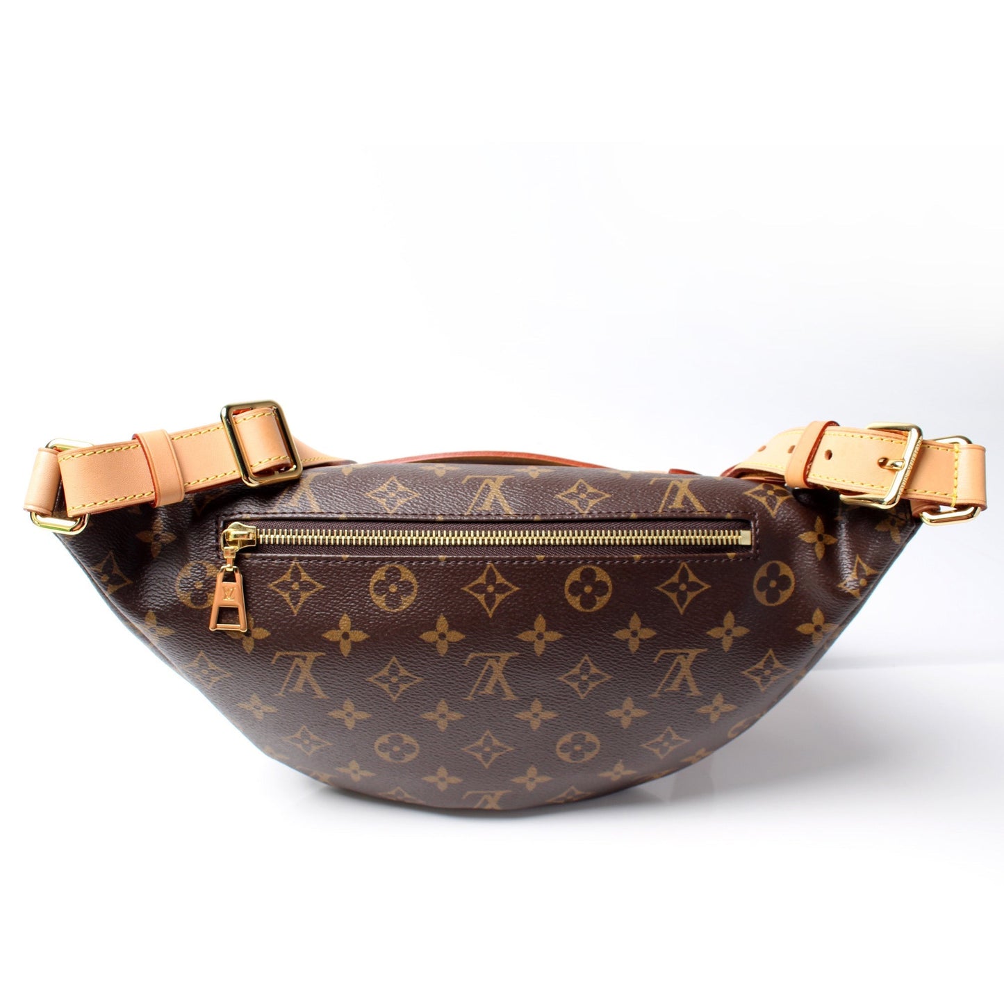 Louis Vuitton Bumbag Monogram Handbag Monogram 14