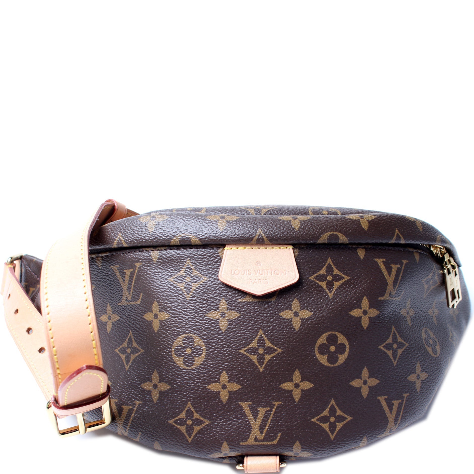 Louis Vuitton Bumbag Monogram Handbag Monogram 13