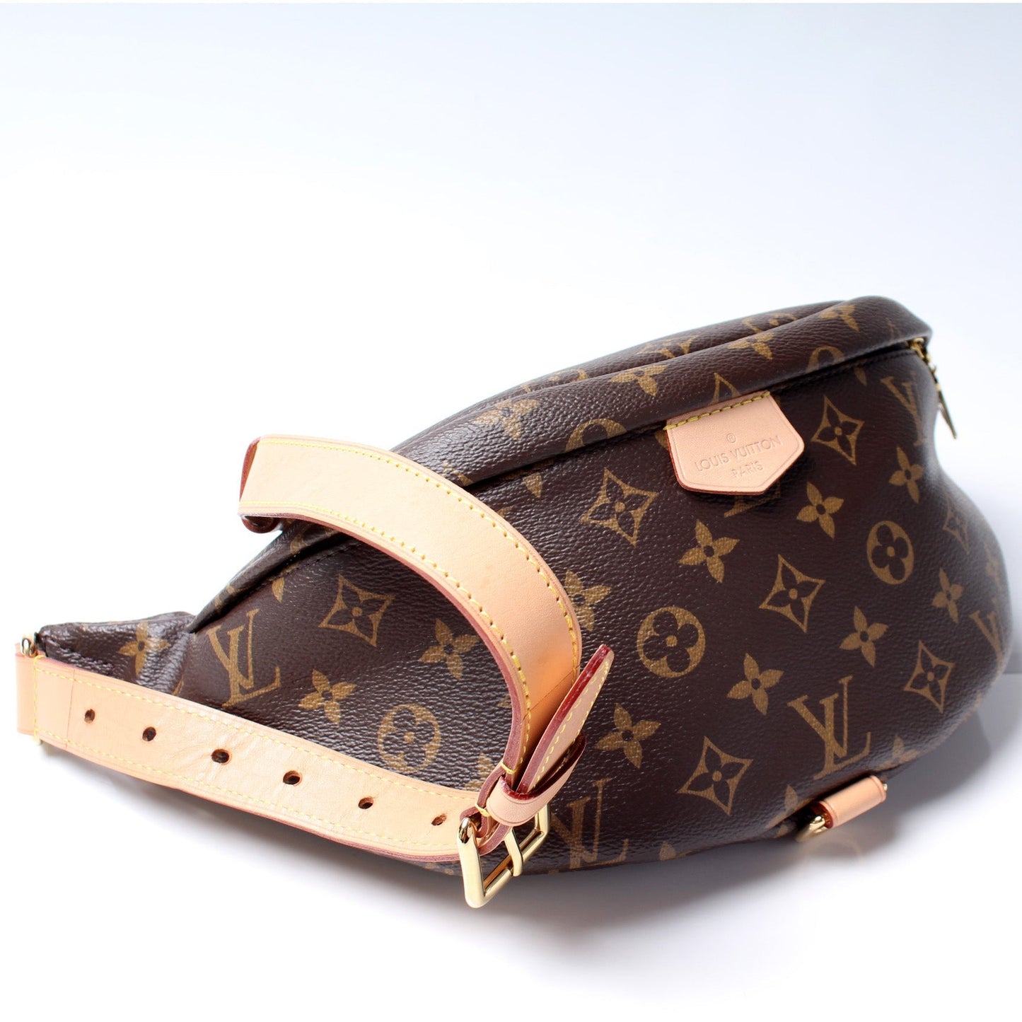 Louis Vuitton Bumbag Monogram Handbag Monogram 13