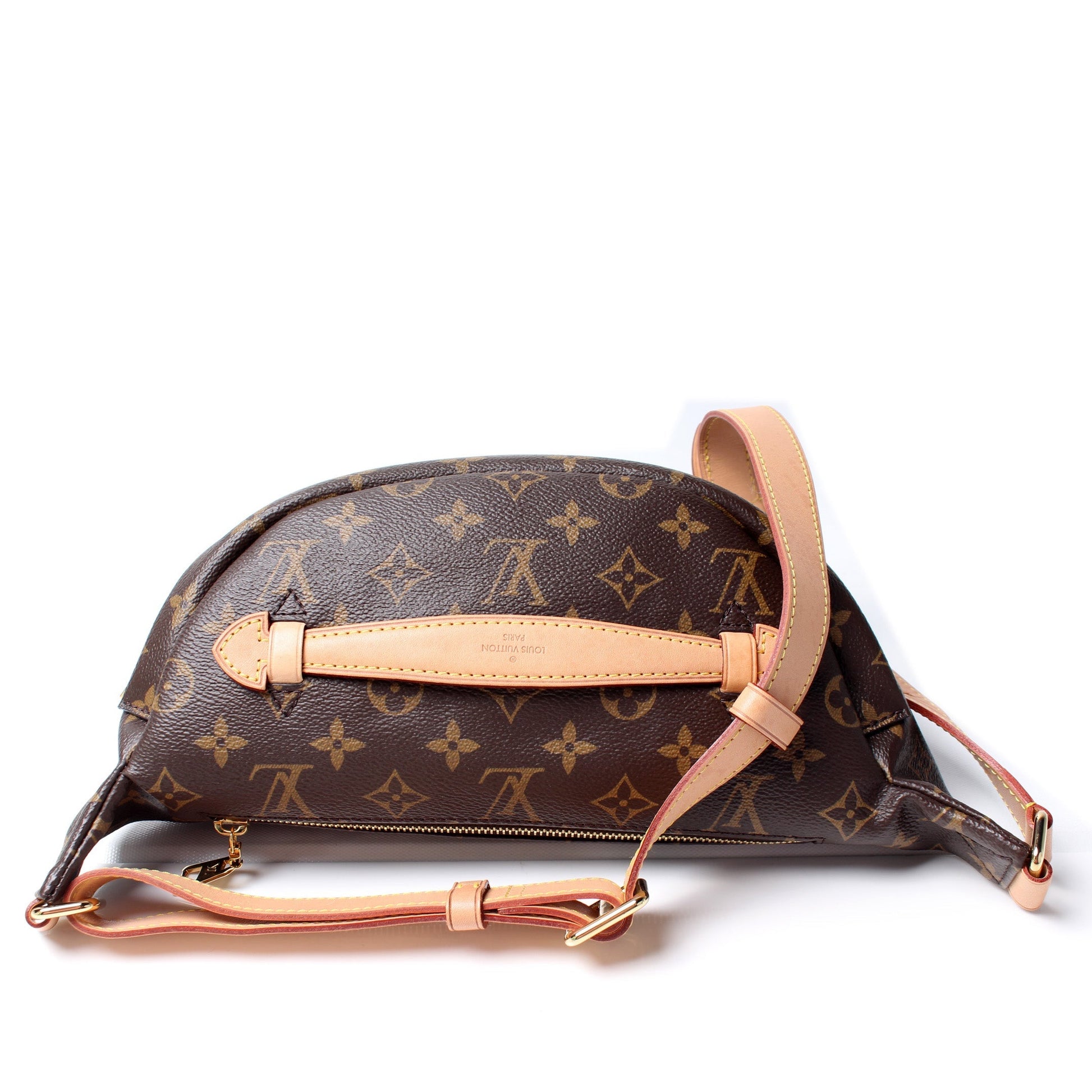 Louis Vuitton Bumbag Monogram Handbag Monogram 13