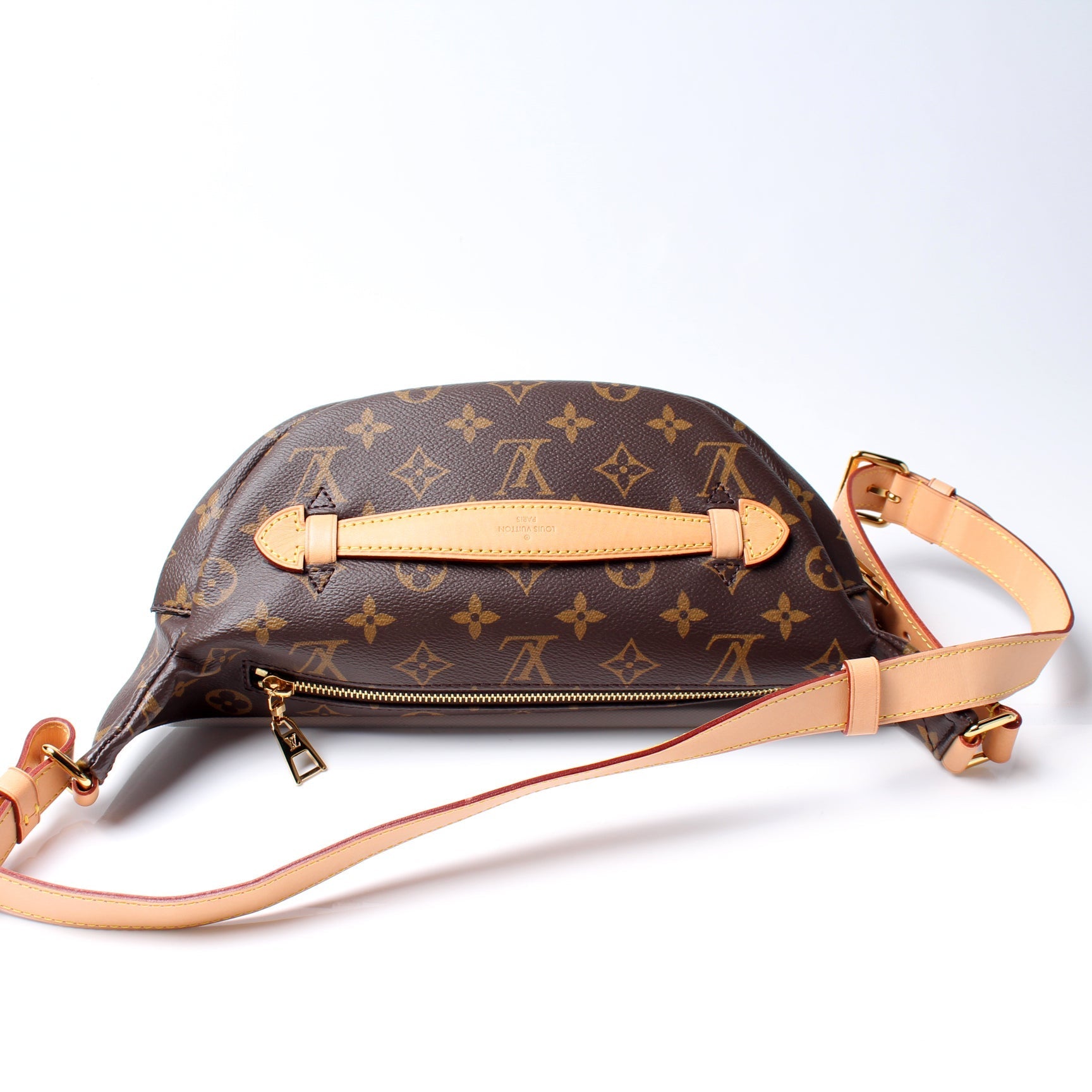 Louis Vuitton Bumbag Monogram Handbag Monogram 22