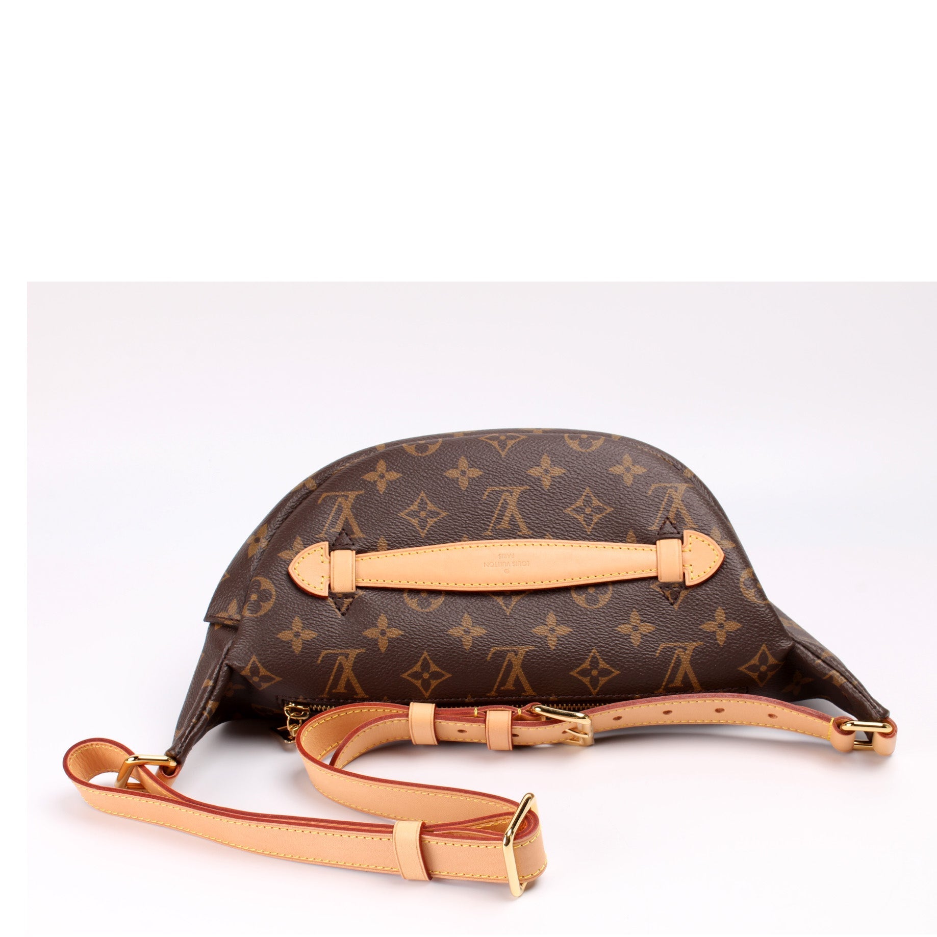Louis Vuitton Bumbag Monogram Handbag Monogram 21
