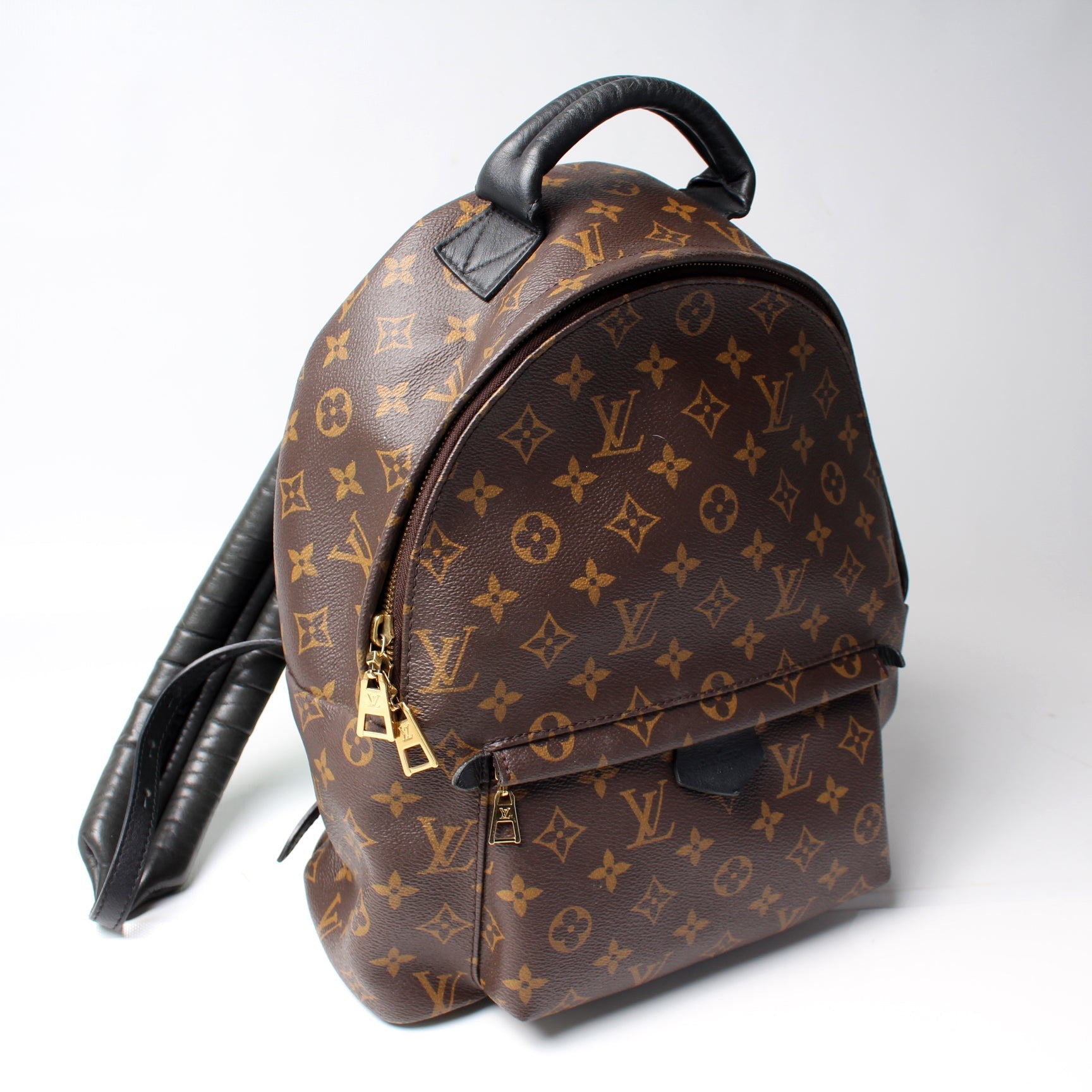 Louis Vuitton Palm Springs Backpack MM Monogram Jewelry Mm Monogram