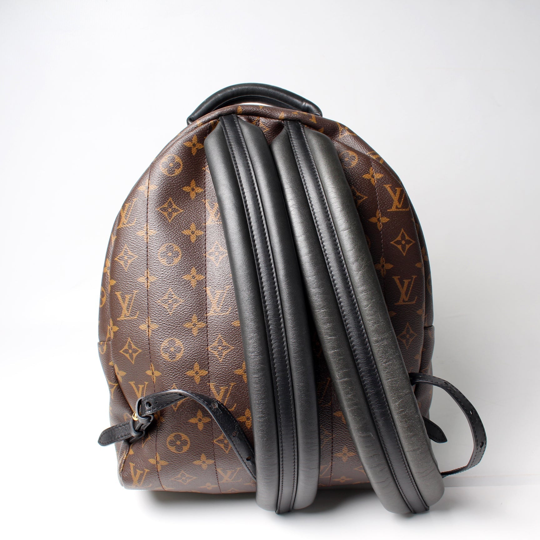 Louis Vuitton Palm Springs Backpack MM Monogram Jewelry Mm Monogram