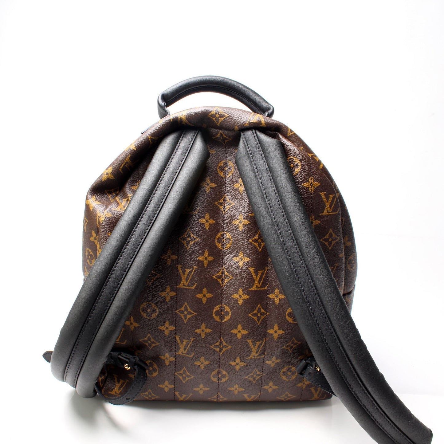 Louis Vuitton Palm Springs Backpack MM Jewelry