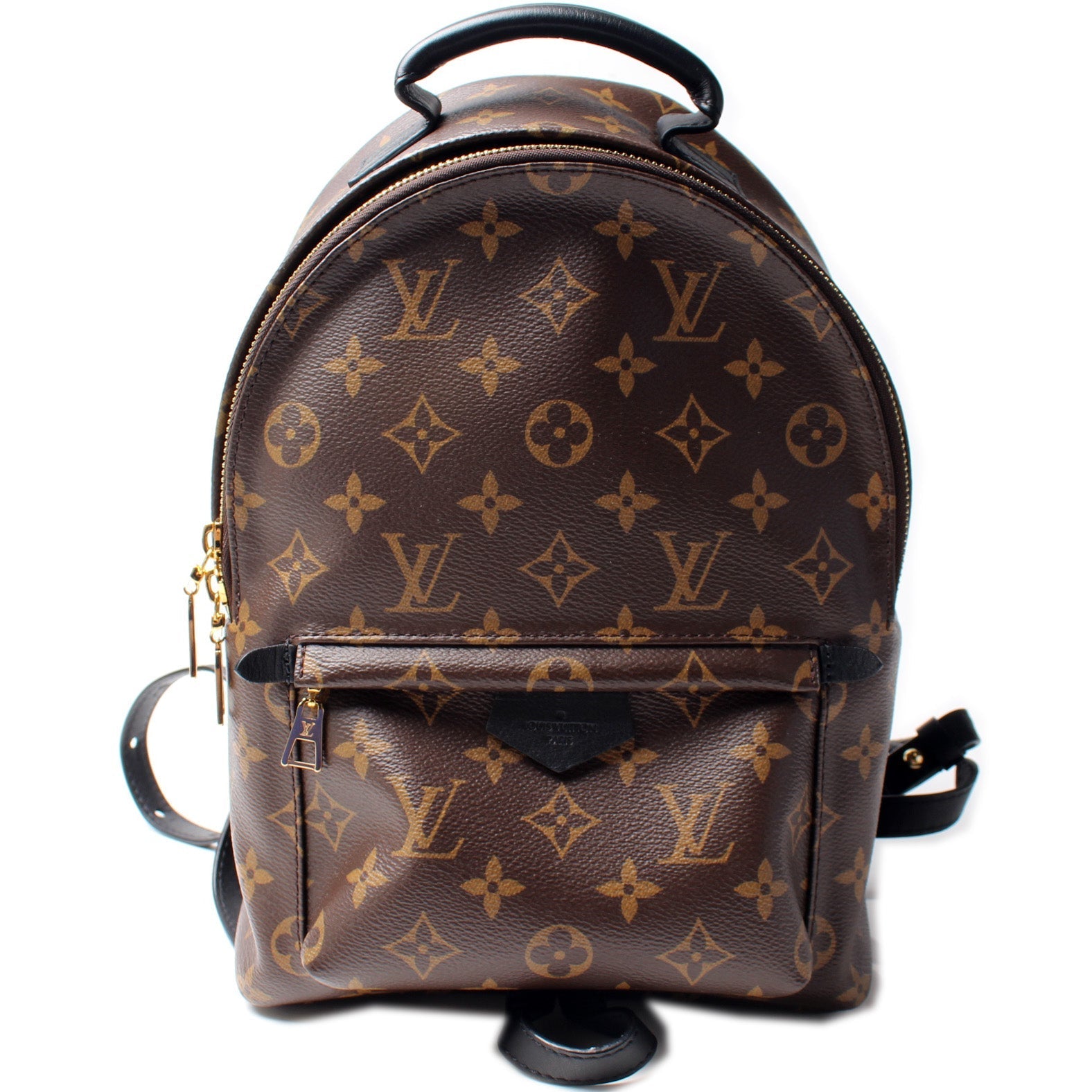 Louis Vuitton Palm Springs Backpack PM NM Jewelry