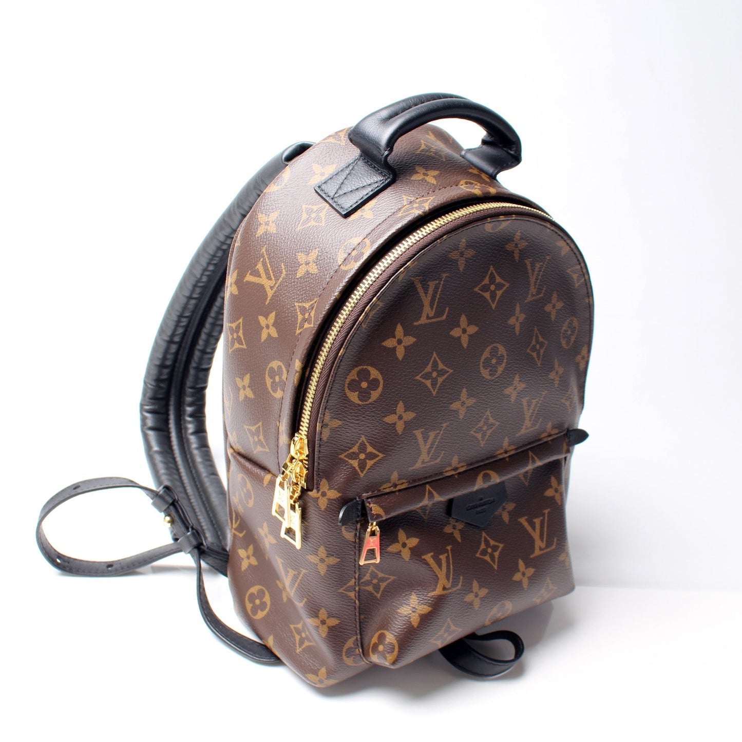 Louis Vuitton Palm Springs Backpack PM NM Jewelry