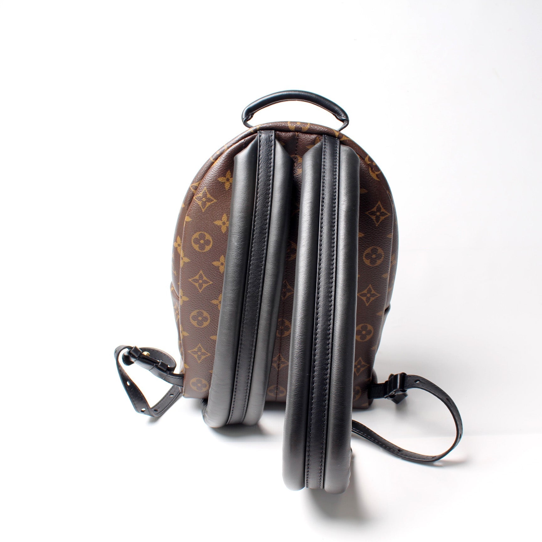 Louis Vuitton Palm Springs Backpack PM NM Jewelry