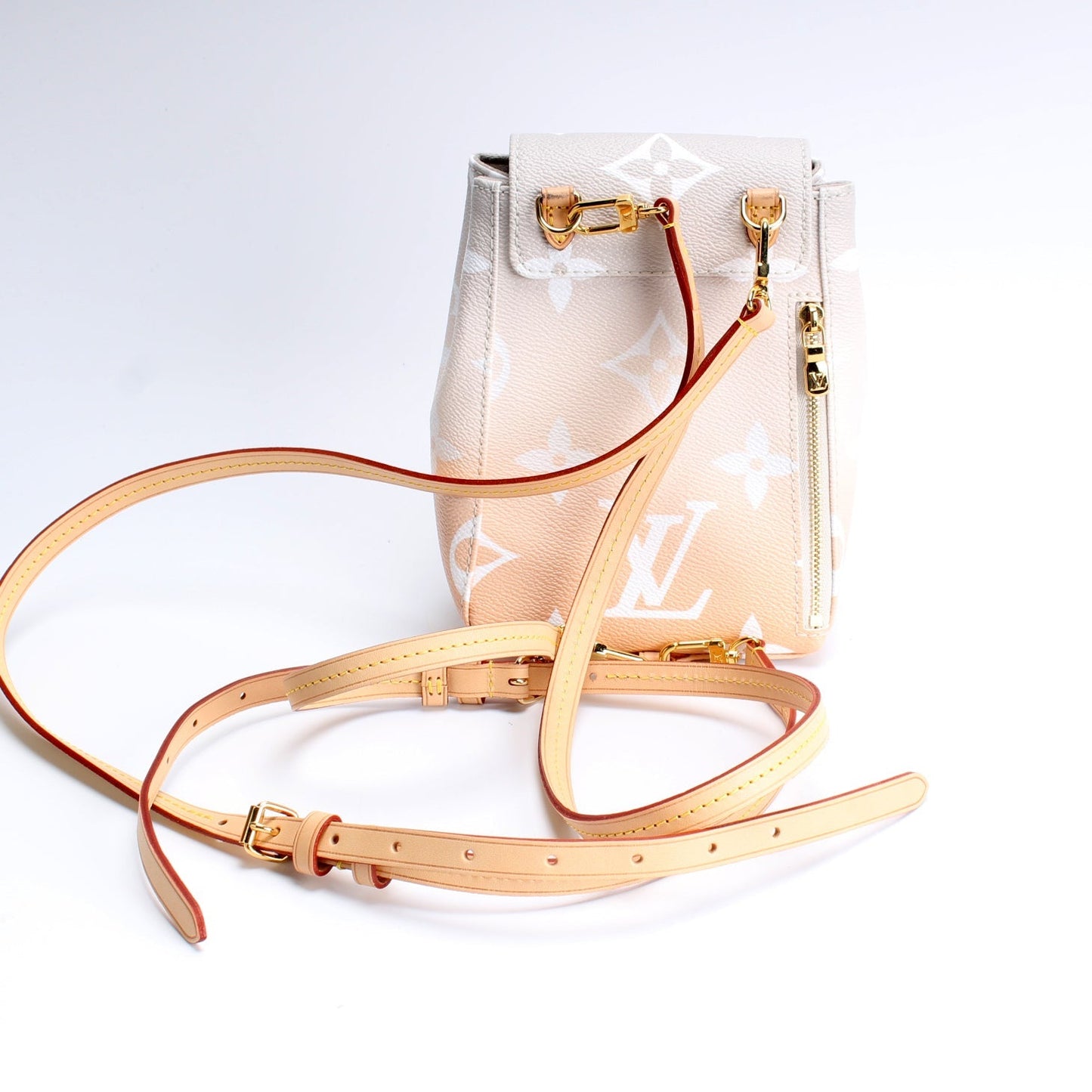 Louis Vuitton Tiny Backpack By Pool