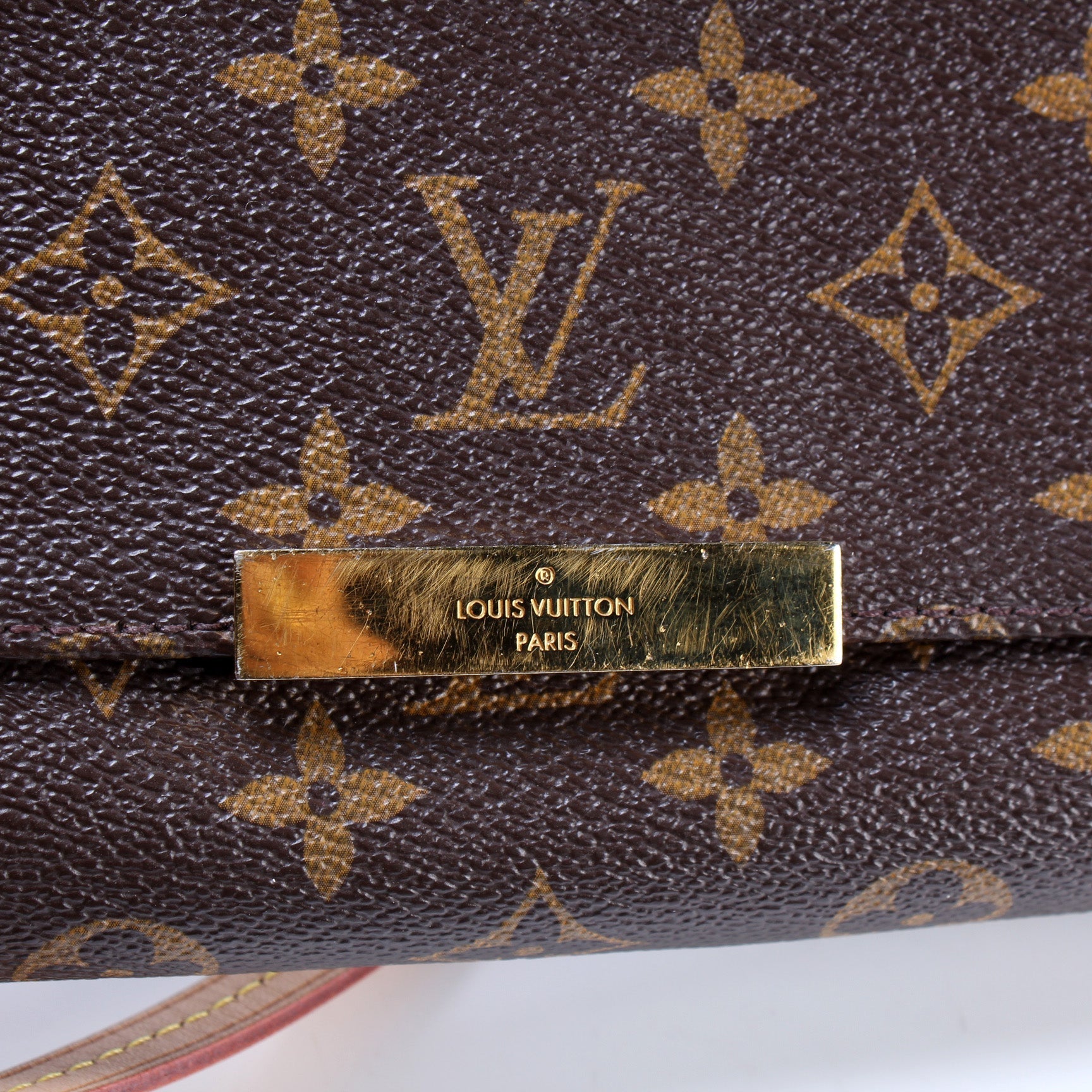 Louis Vuitton Favorite MM Monogram Handbag Monogram 61