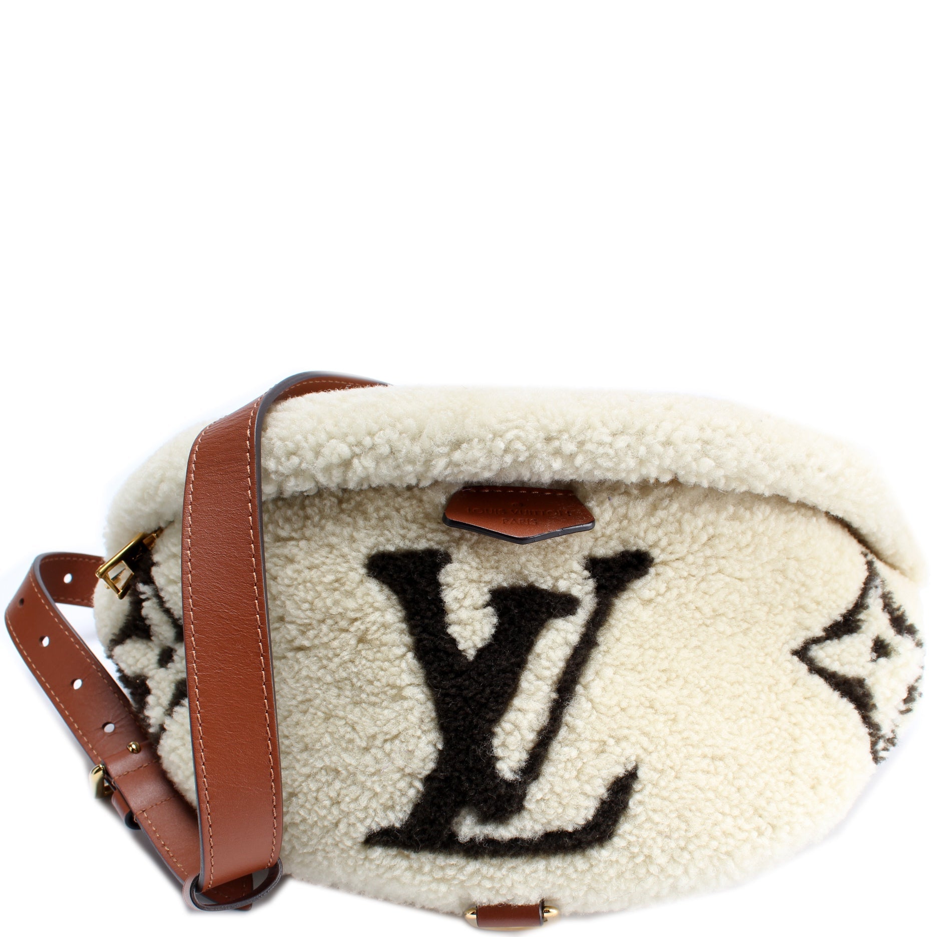 Louis Vuitton Bumbag Teddy Giant Monogram Handbag Monogram 3