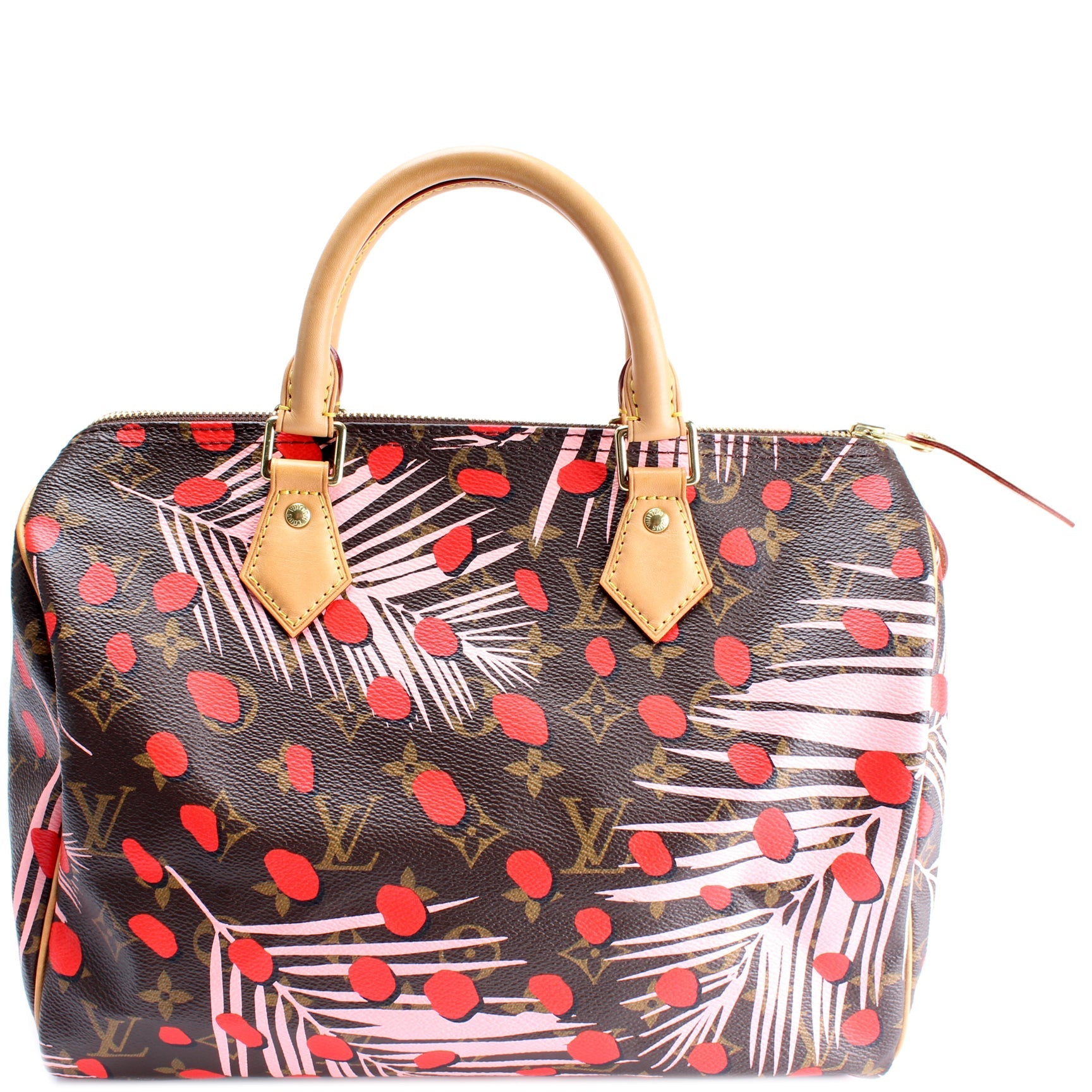 Louis Vuitton Speedy 30 Jungle Dots Monogram Handbag
